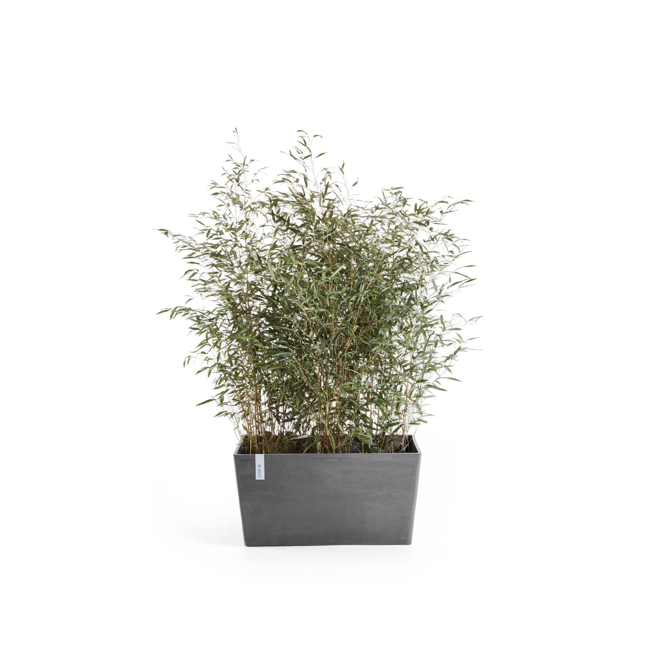 ECOPOTS Blumentopf "Paris", BxTxH: 99x46x50 cm günstig online kaufen