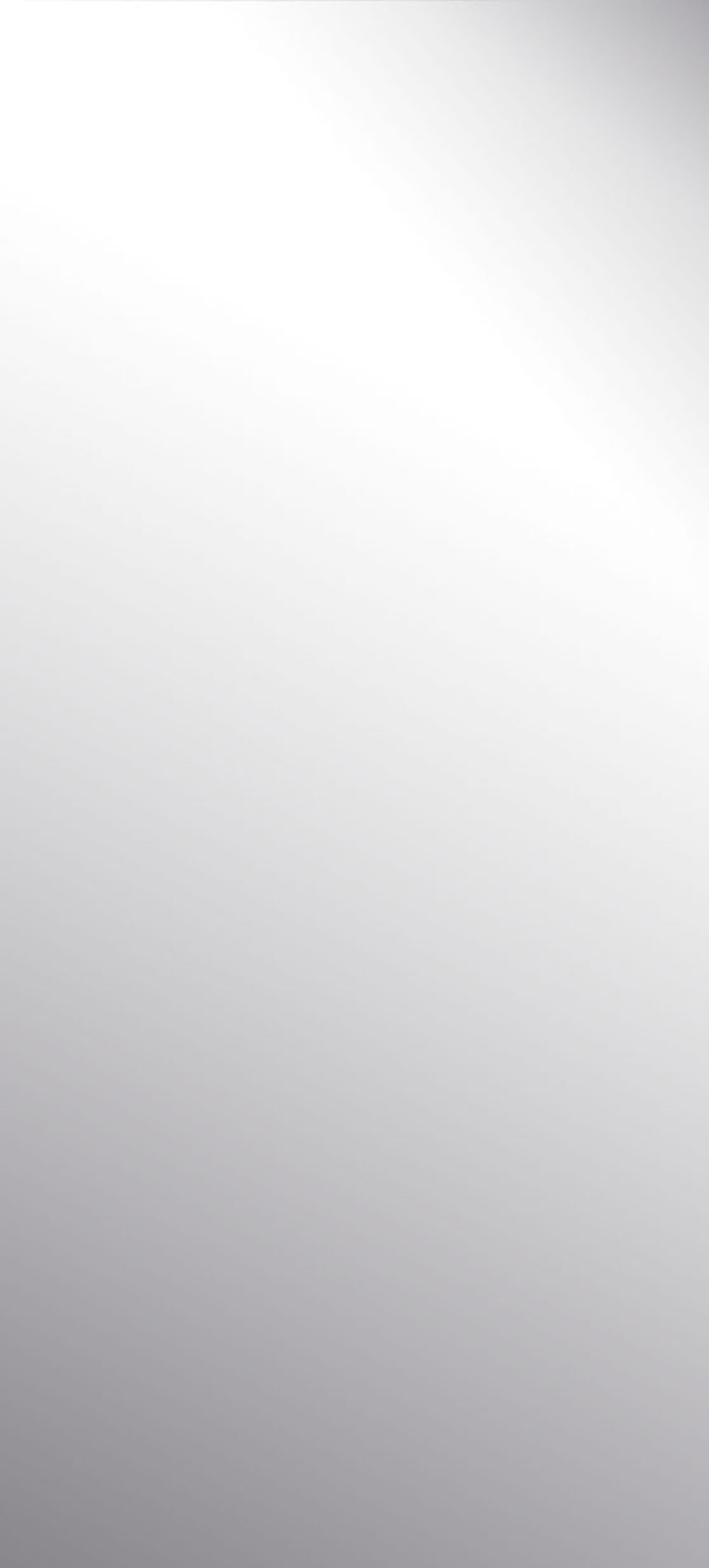 Home affaire Garderobenspiegel "Jupiter" 50 x 110 cm günstig online kaufen