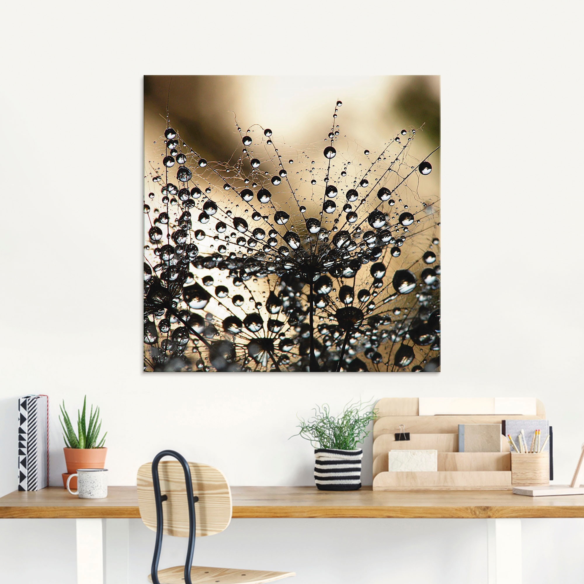 Artland Glasbild "Nasser Löwenzahn" Blumen 1 Stk. tlg. in verschiedenen Grö günstig online kaufen
