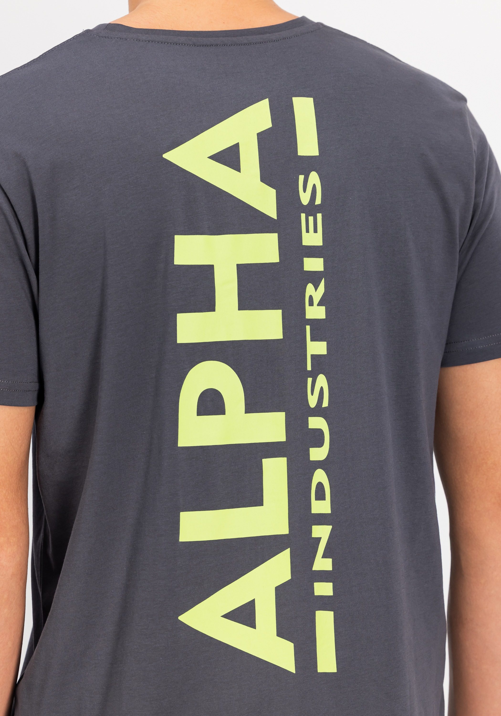 Alpha Industries T-Shirt »Backprint T-Shirt«