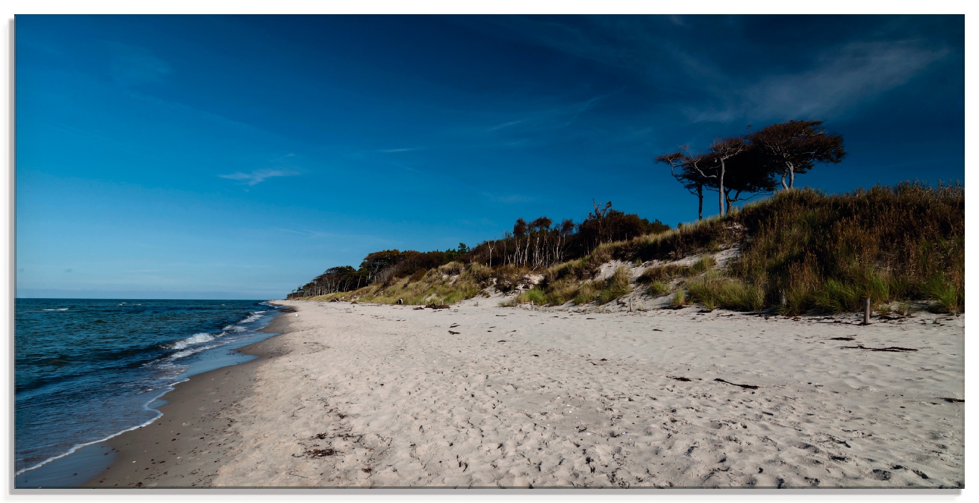 Artland Glasbild "Am Weststrand- Ostsee - Darss" Strand 1 Stk. tlg. in verschiedenen Größen