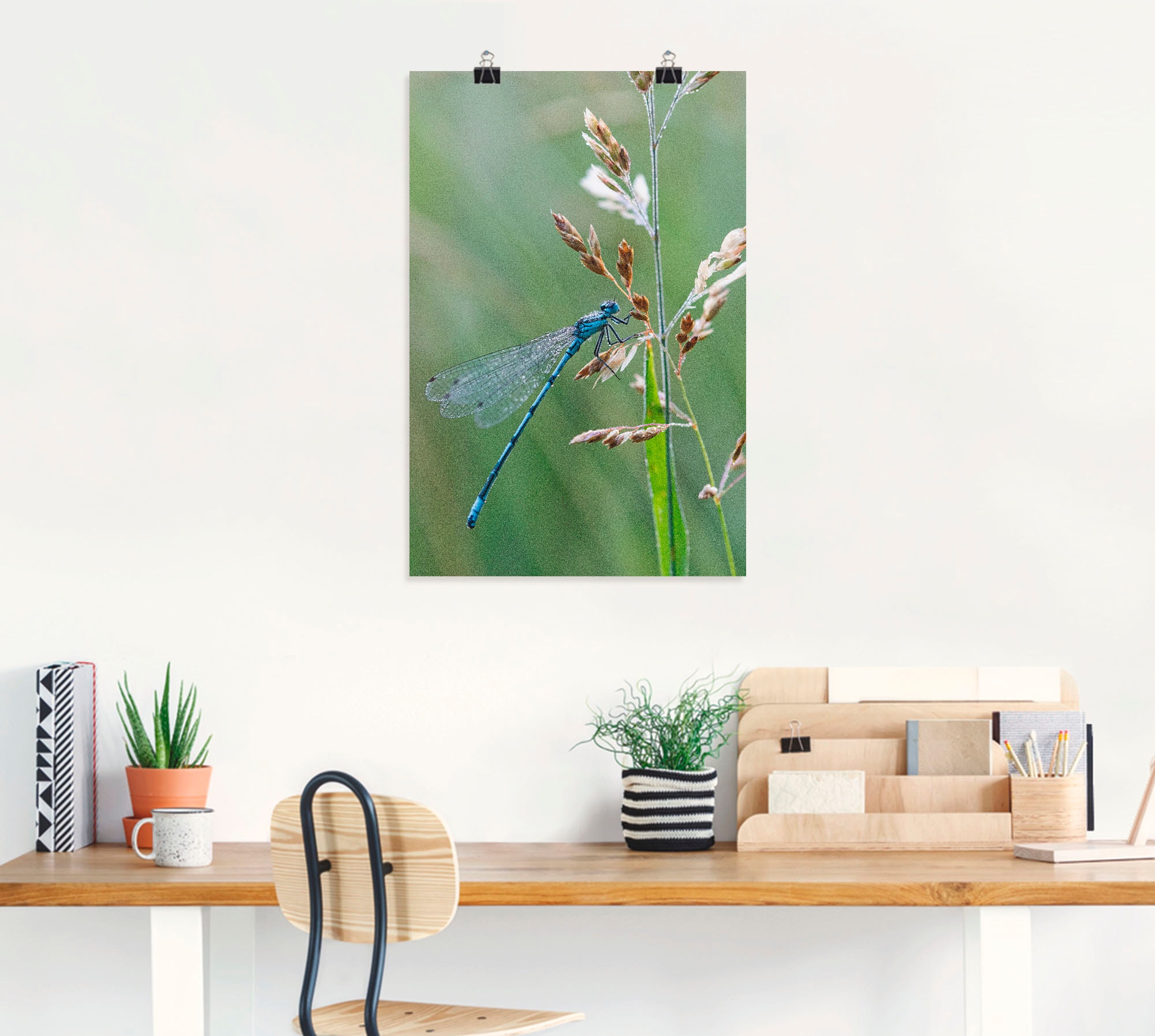 als Wandbild BAUR Poster Artland Alubild, versch. | St.), (1 Libelle«, oder in »Kleine kaufen Wandaufkleber Leinwandbild, Insekten, Größen