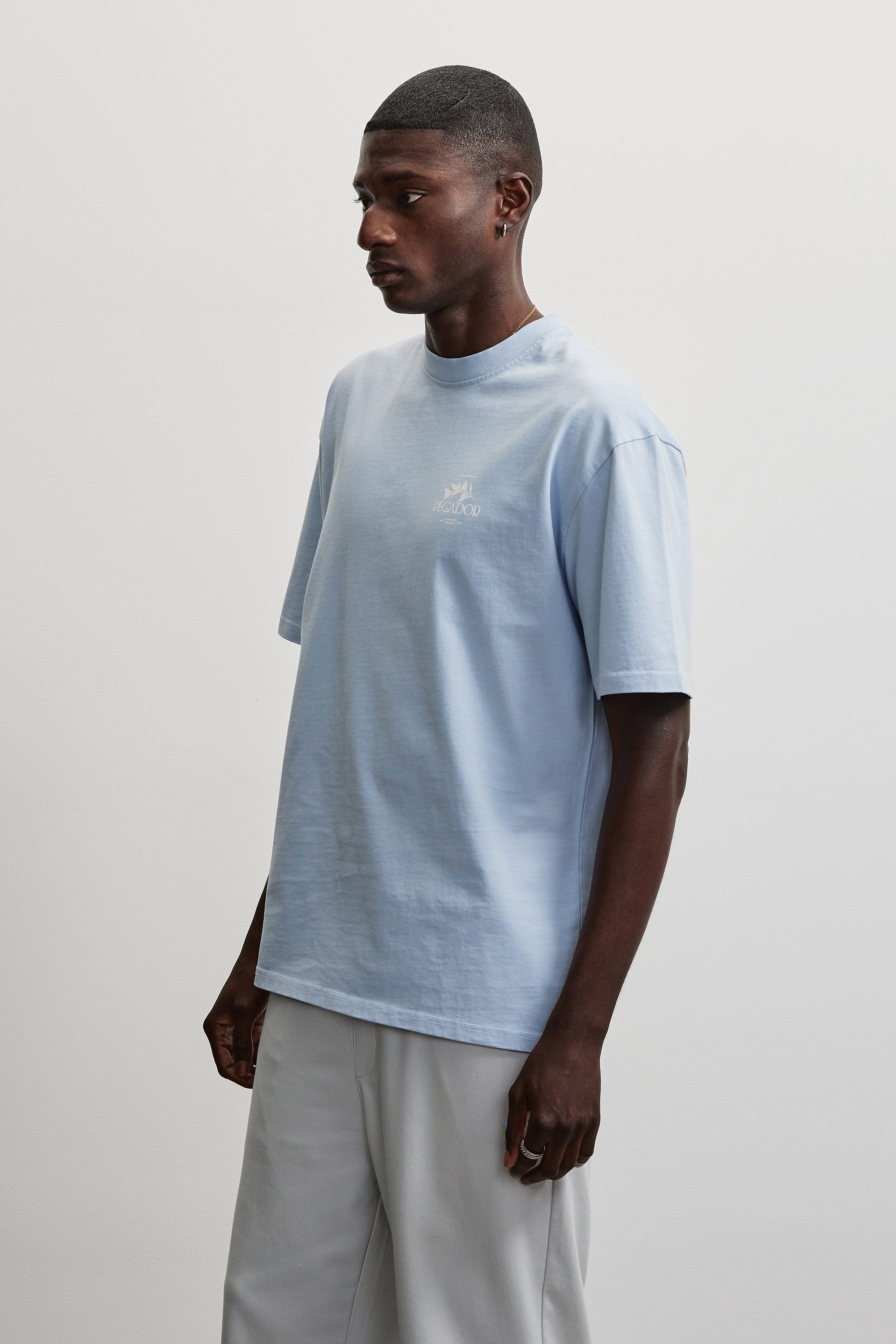 PEGADOR Rundhalsshirt »TRAVNIK OVERSIZED TEE«