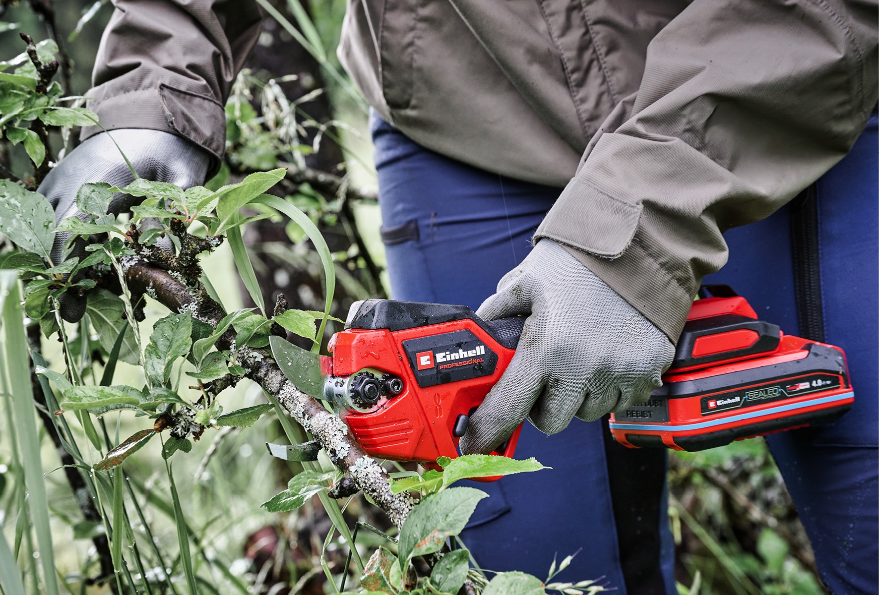 Einhell Akku-Astschere »»»GP-LS 18/28 Li BL-Solo«««, ohne Akku, ohne Ladegerät