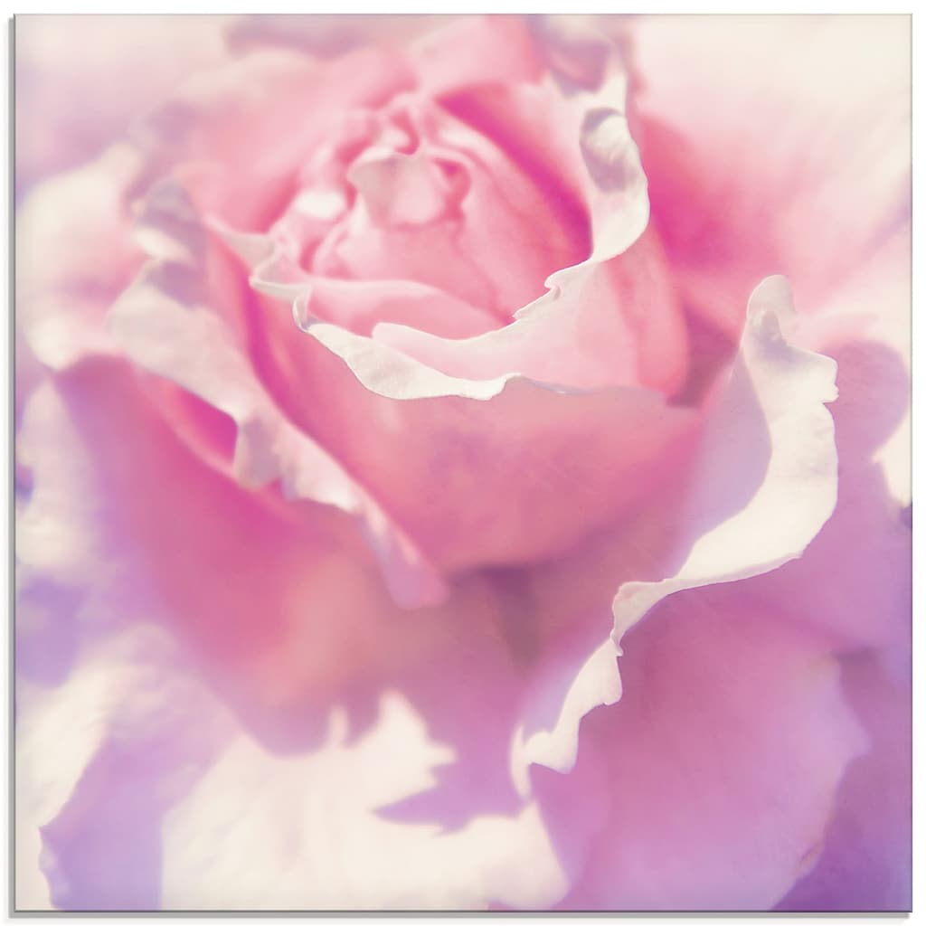 Artland Glasbild »Rosa«, Blumen, (1 St.)