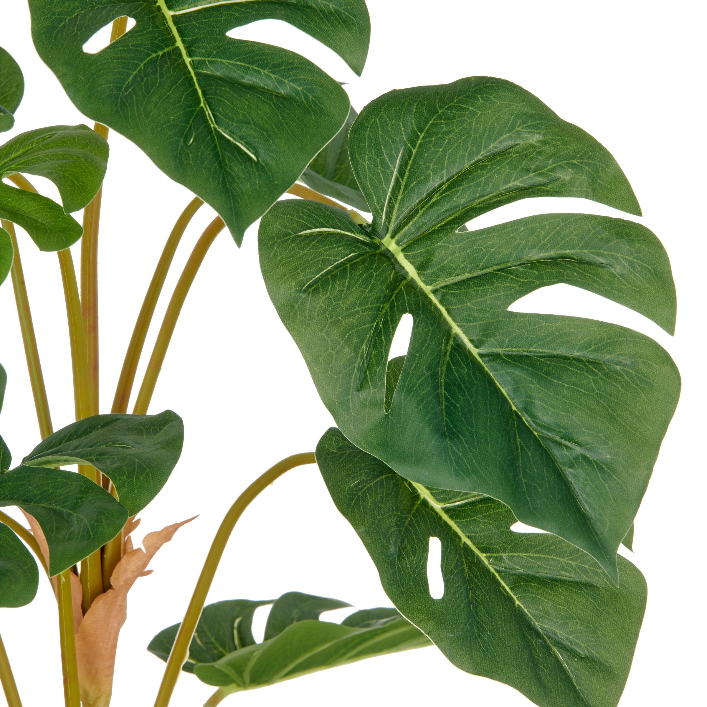 Creativ green Kunstpflanze »Split Philodendron«, mit schönem Blattwerk