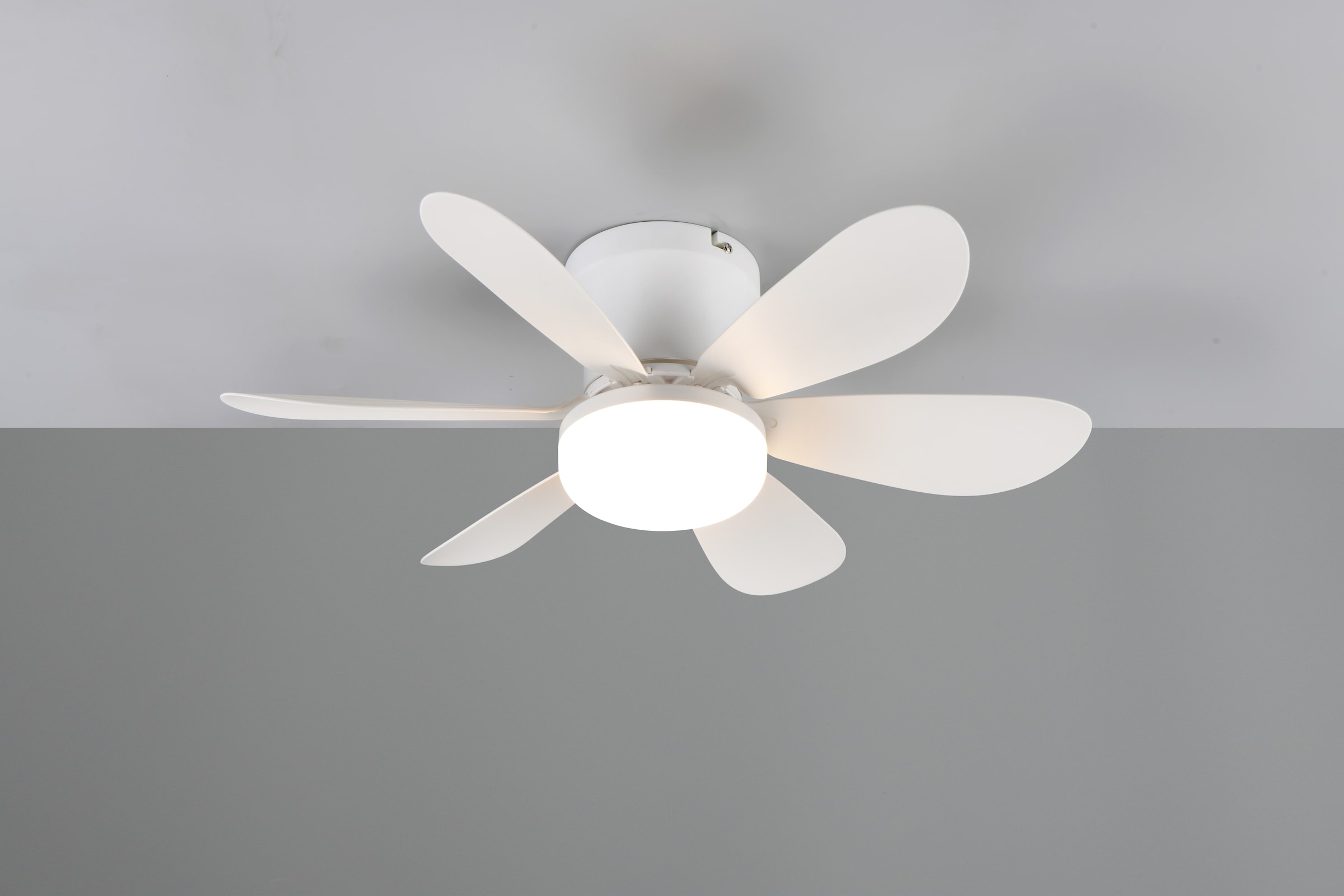 REALITY Leuchten LED Deckenleuchte »LUND mit Ventilator, Deckenventilator mit Licht inkl Fernbedienung«, 1 flammig, Leuchtmittel LED-Board | LED fest integriert, 3 Geschwindigkeiten Timer Vor- & Rücklauf LED dimmbar CCT Nachtlicht