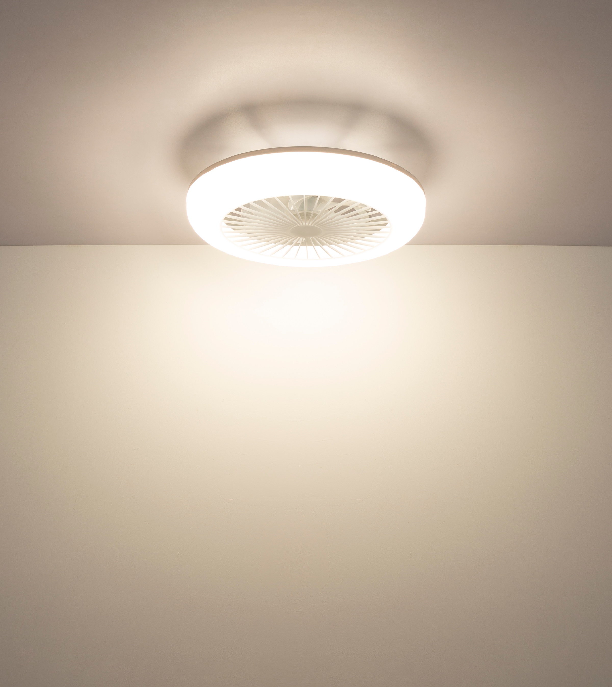 GLOBO LIGHTING Deckenleuchte »FERRELL« LED-Modul 1 Stk. Deckenventilator mit LED, dimmbar, smart & energiesparend