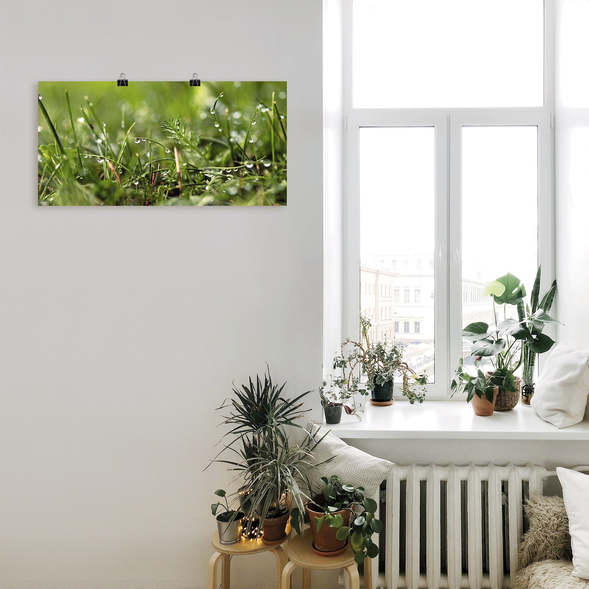 Artland Wandbild »Tautropfen«, Gräser, (1 St.), als Alubild, Outdoorbild, Leinwandbild, Poster in verschied. Größen