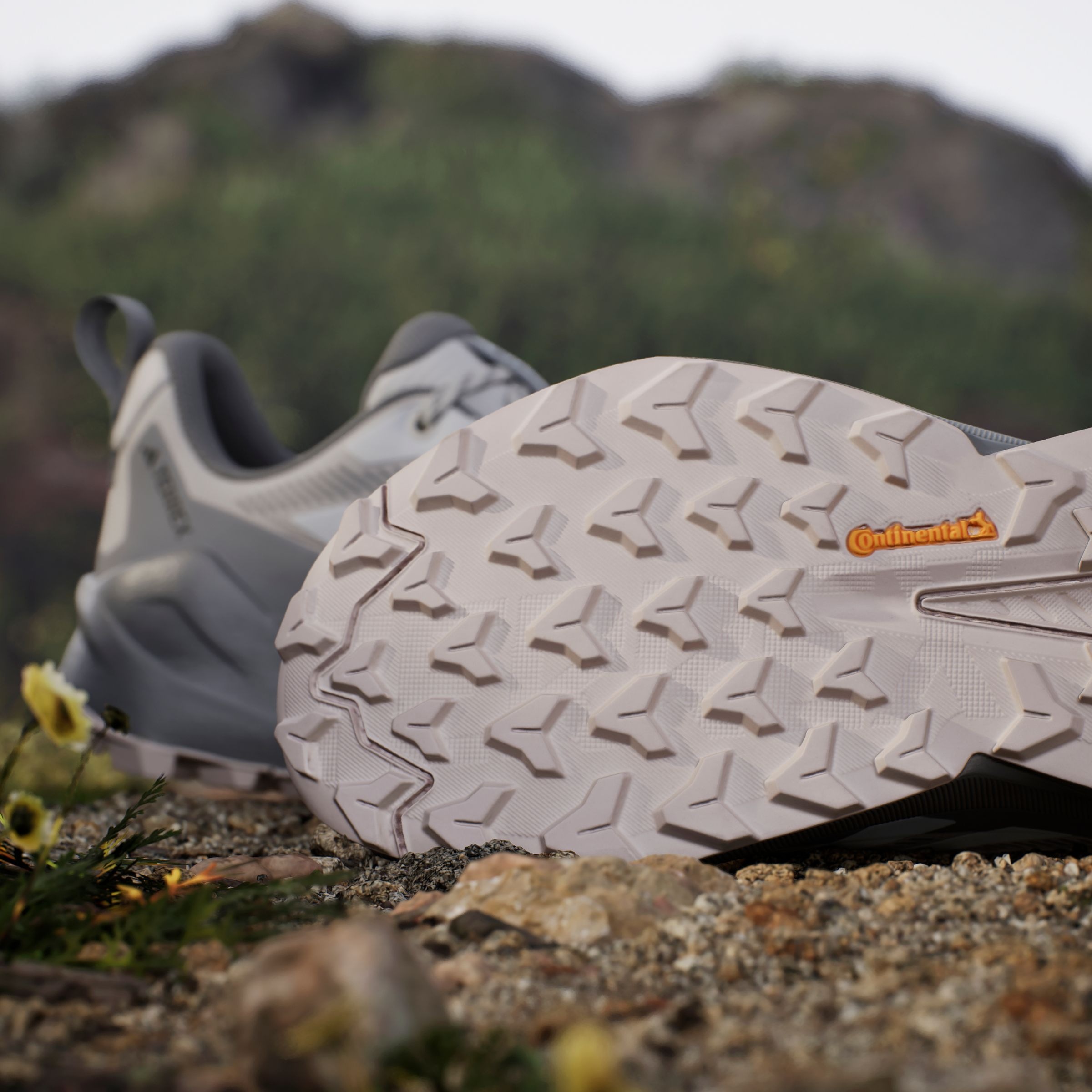 adidas TERREX Wanderschuh »TERREX TRAILMAKER 2.0 GORE-TEX«