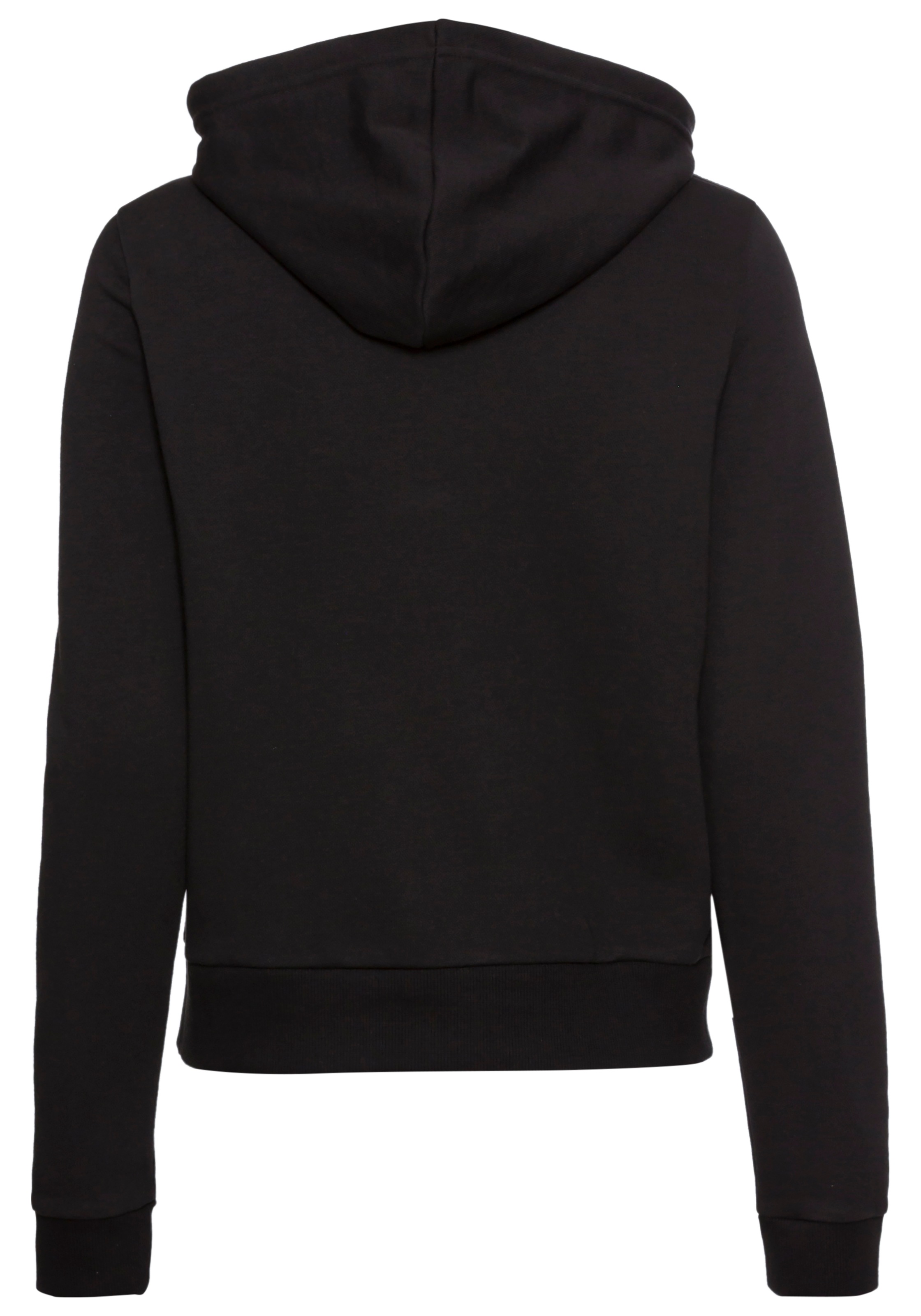 Reebok Sweatshirt »D Kapuzensweatshirt«