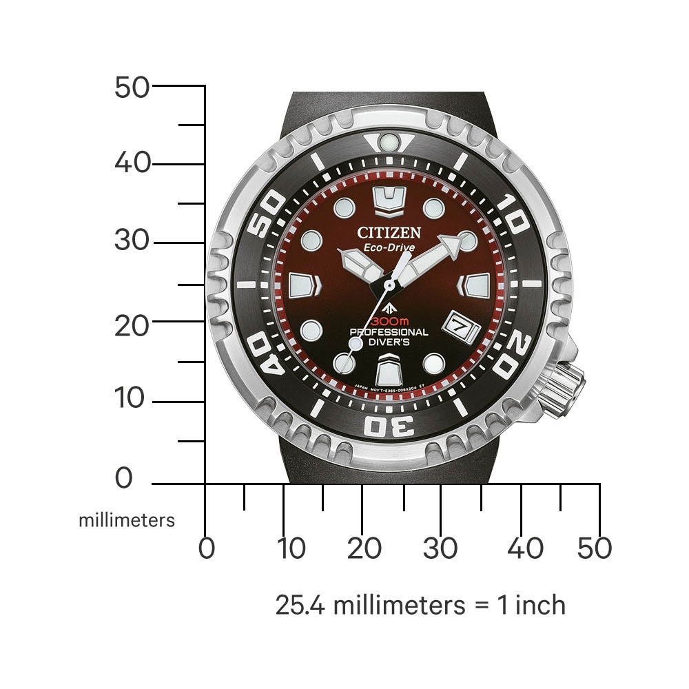 Citizen Taucheruhr »Promaster Professional Diver 300«, Armbanduhr, Solar, Herrenuhr, analog, Tag, Batterie-Entladungsanzeige