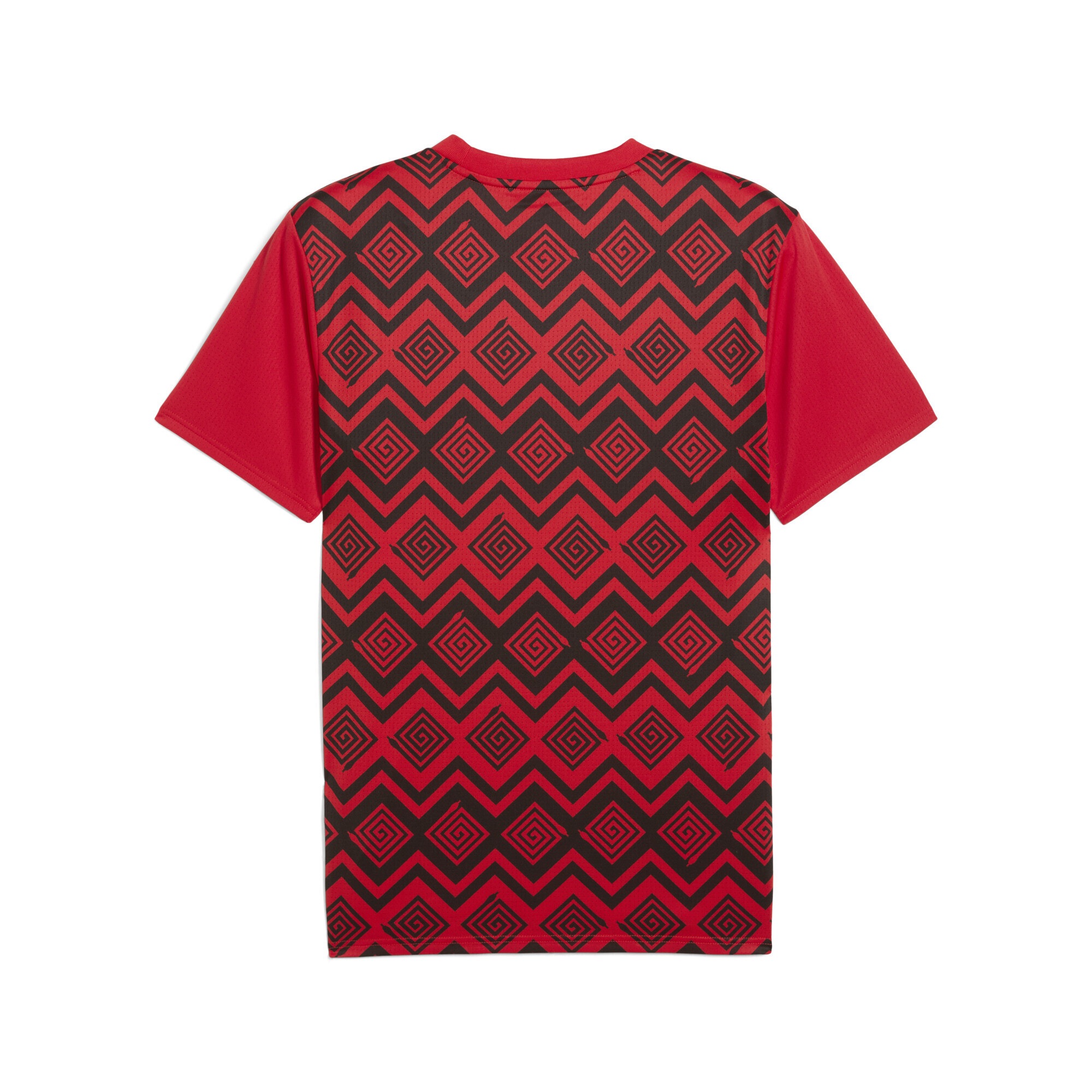 PUMA Trainingsshirt »Ägypten Aufwärmtrikot Herren«