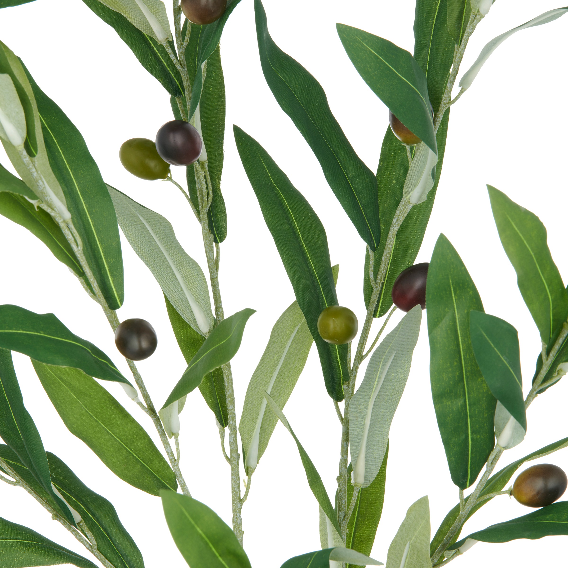 Creativ green Kunstzweig »Olive«, mit detailgetreuer Gestaltung