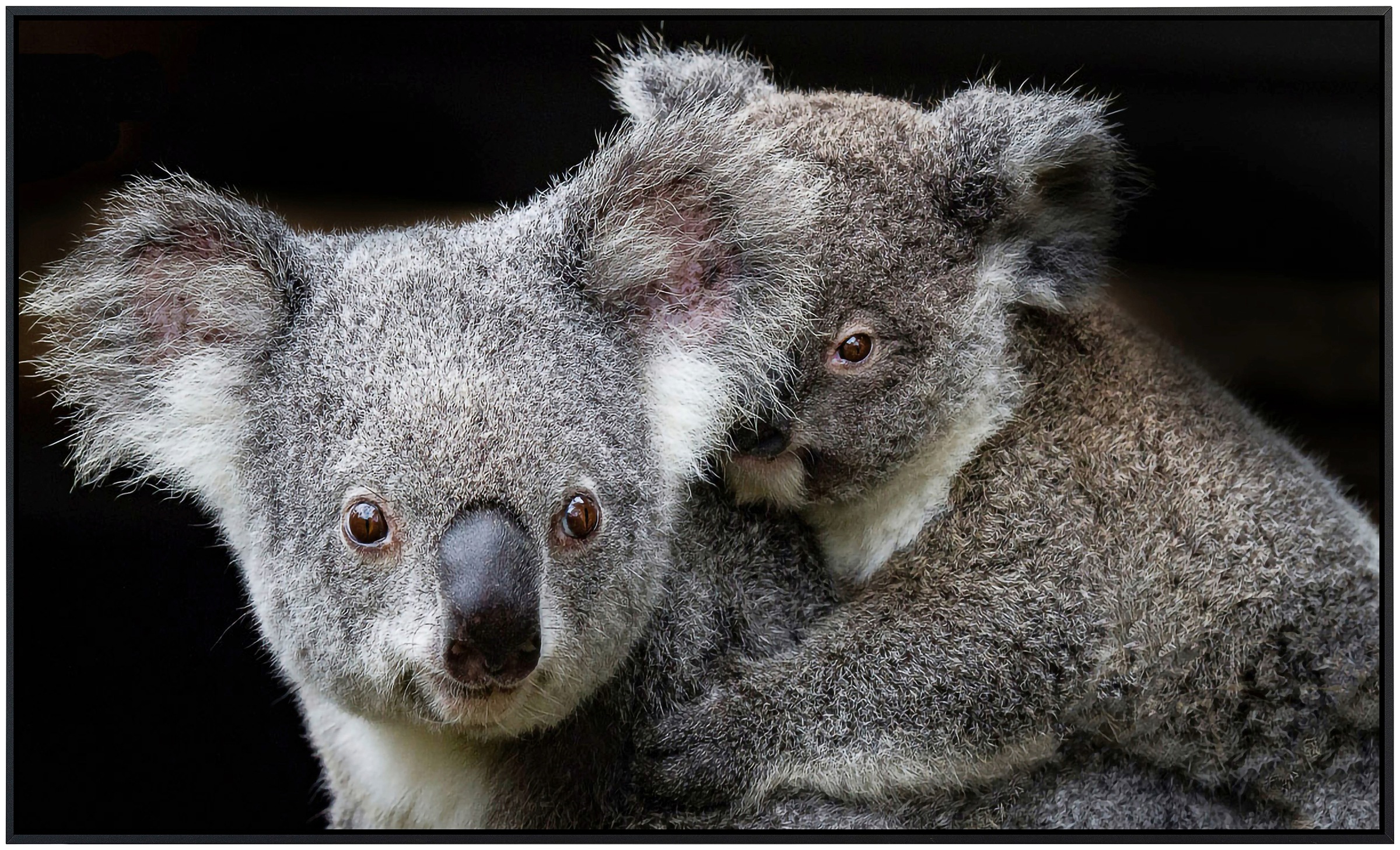 Papermoon Infrarotheizung »Koala Mutter und Joey«, sehr angenehme Strahlungswärme