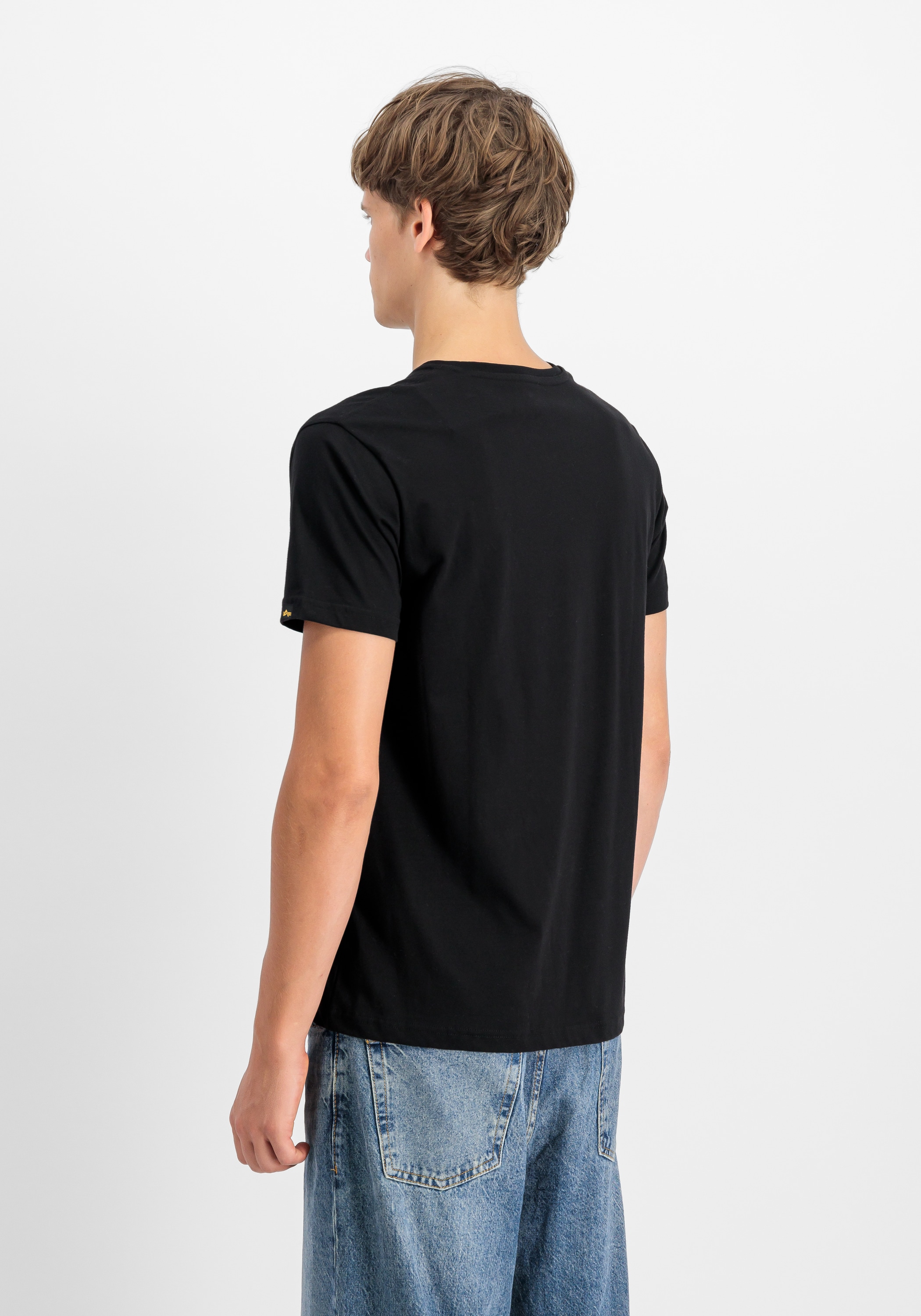 Alpha Industries T-Shirt »Basic Mid Logo TPU T-Shirt«