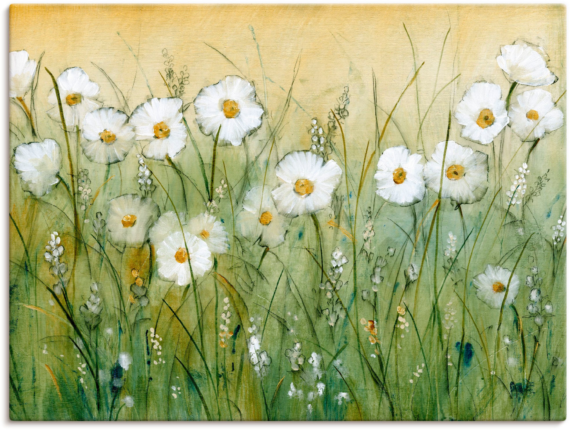 Artland 1100000002199 "Gänseblümchenfrühling II" Blumen 1 Stk. tlg. als Alubild, Leinwandbild, Poster in verschied. Größen