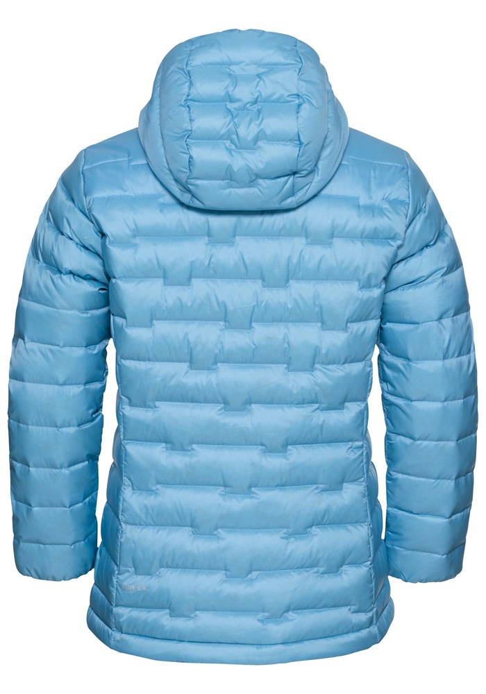 Jack Wolfskin Daunenjacke »PASSAMANI DOWN HOODY W RDS«, mit Kapuze