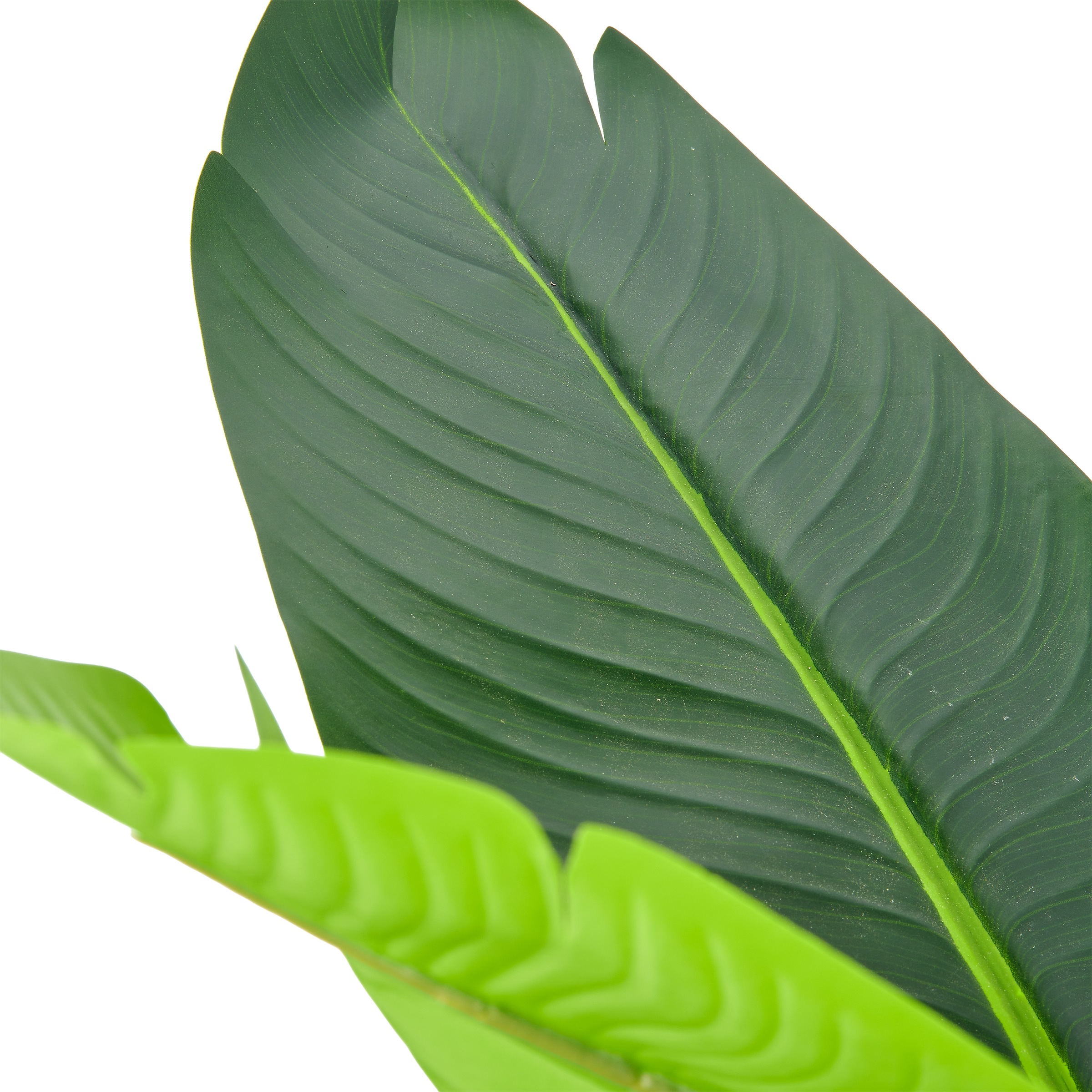 Creativ green Kunstpflanze »Strelitzia nicolai« in beeindruckender Größe