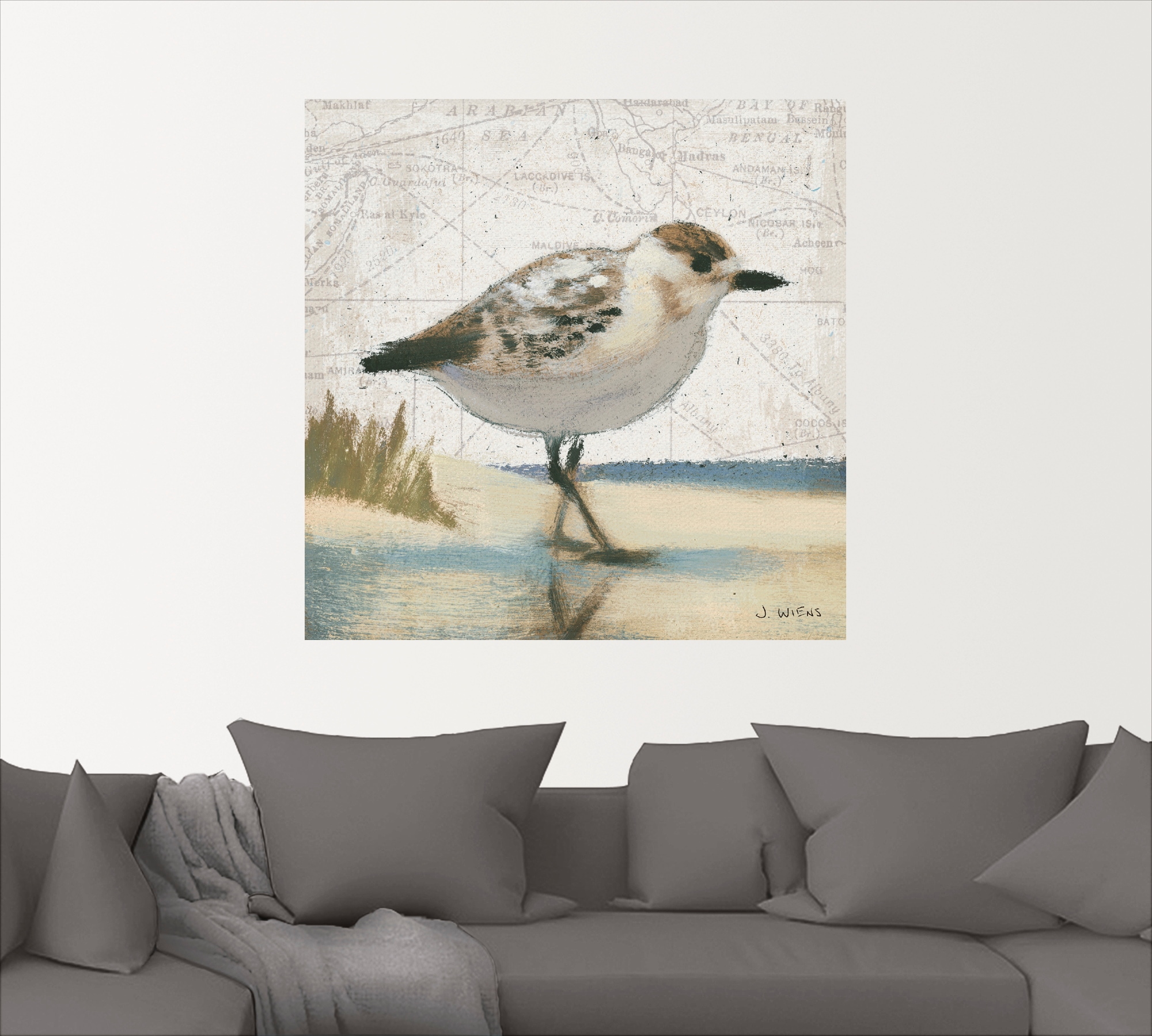 Artland Wandbild "Möwe I", Vögel, (1 St.), als Leinwandbild, Wandaufkleber günstig online kaufen