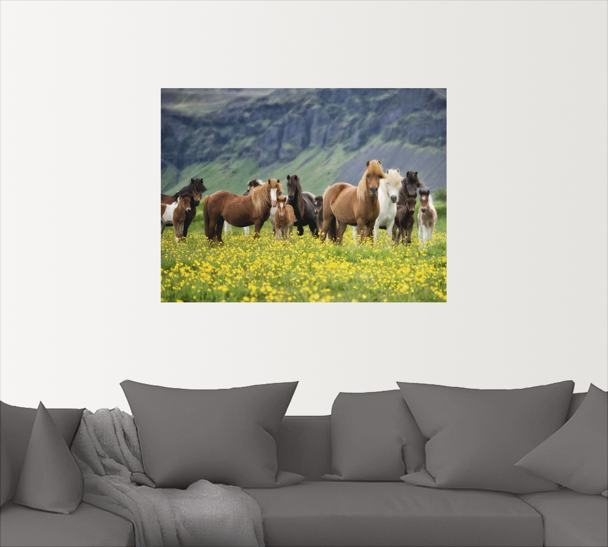 Artland Wandbild »Isländische Pferde VII«, Haustiere, (1 St.), als Leinwandbild, Poster, Wandaufkleber in verschied. Größen