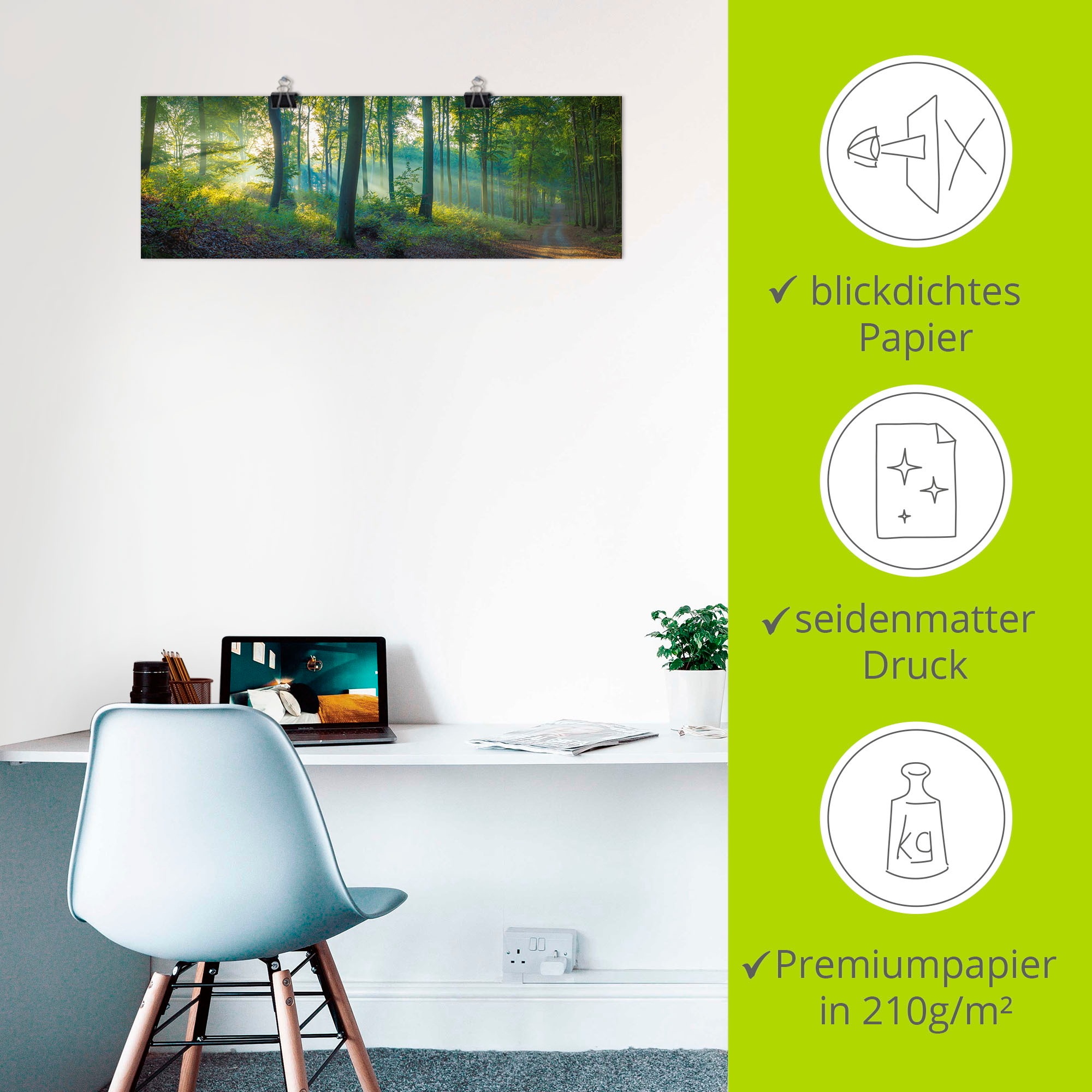 Artland Wandbild »Wald Panorama«, Waldbilder, (1 St.), als Alubild, Outdoorbild, Leinwandbild, Poster, Wandaufkleber