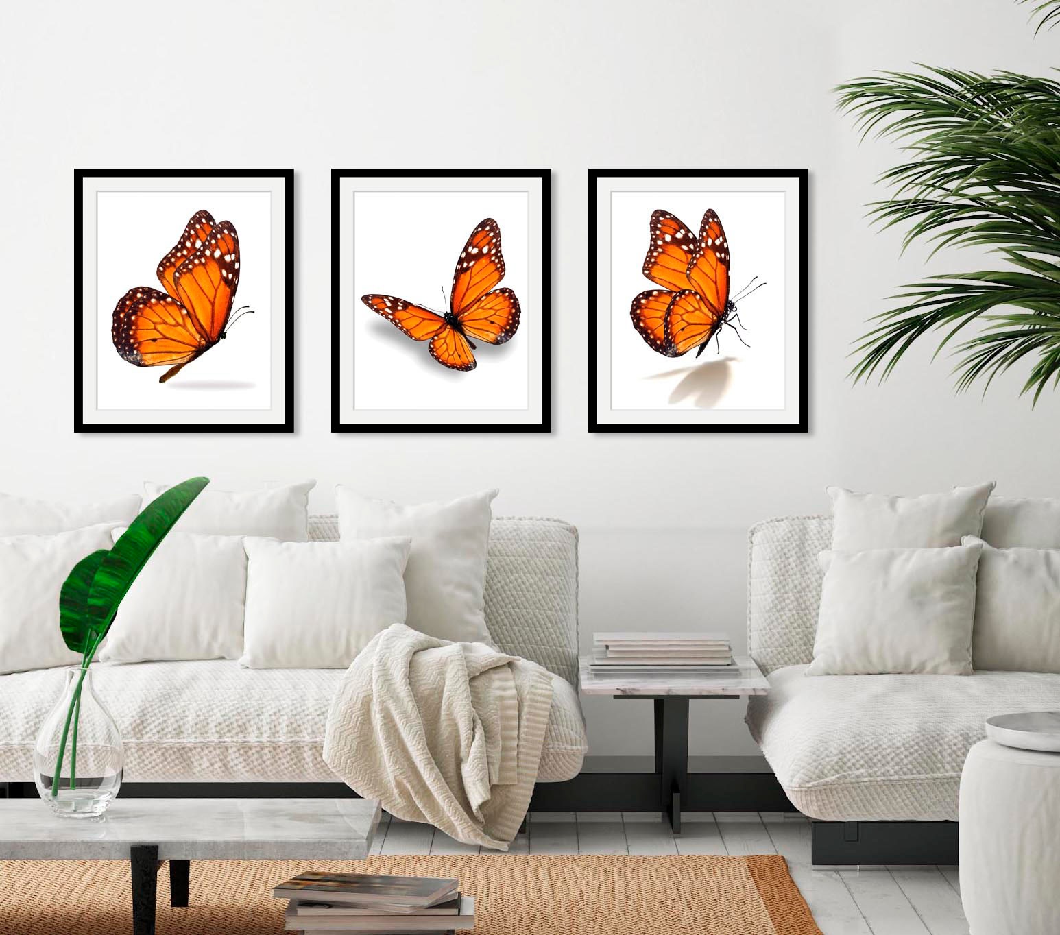 queence Bild »Eazy«, Schmetterlinge-Kunst-Insekten, (1 St.), HD Premium Poster-Druck inkl. Holzrahmen