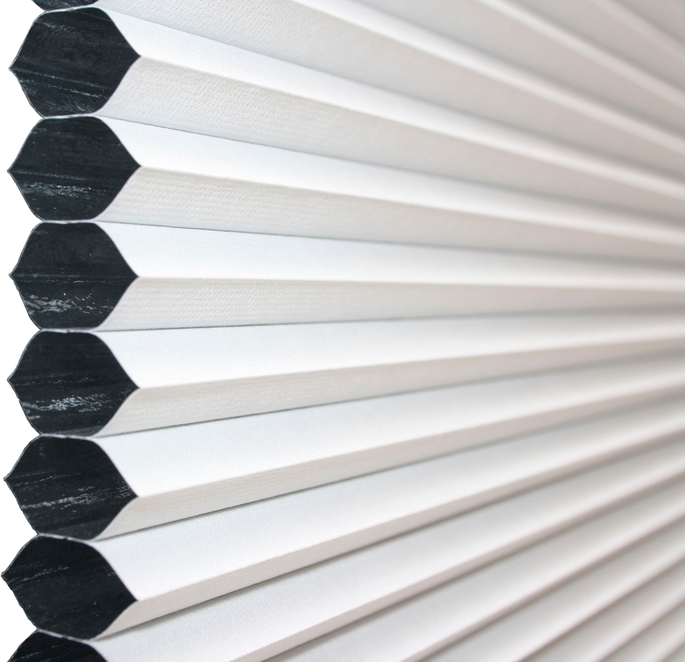 GARDINIA Wabenplissee »Concept Thermo-Abdunklung« verdunkelnd energiesparend mit Bohren verspannt energiesparend und abdunkelnd mit Thermobeschichtung