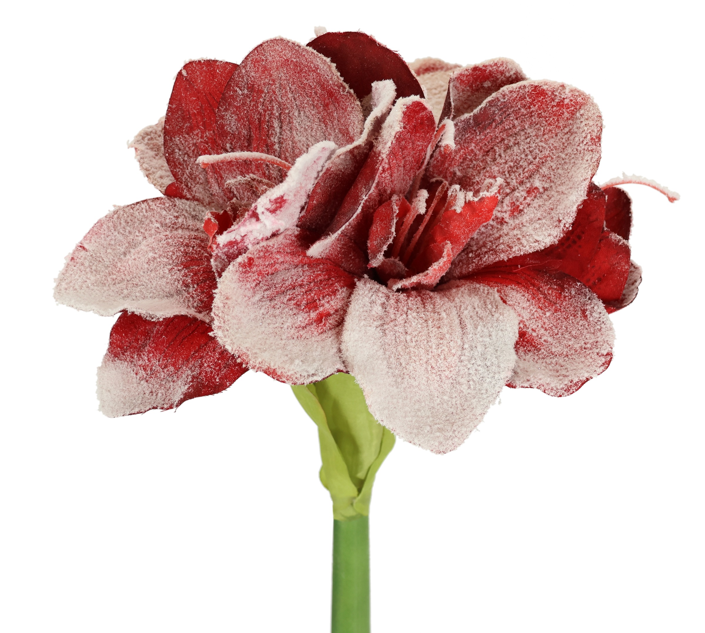 I.GE.A. Kunstblume »Amaryllis mit Kunstschnee«, 2er Set Zweige Winterblume Dekozweig Weihnachtsdeko Winterdeko