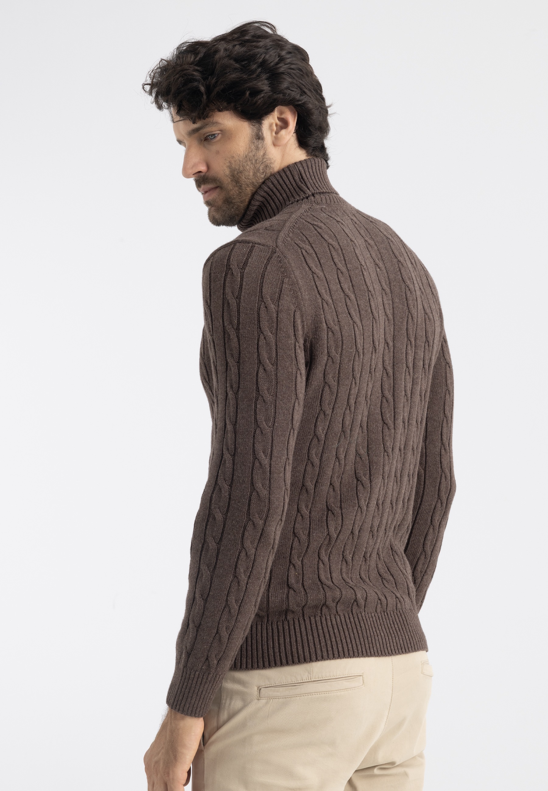 Felix Hardy Rollkragenpullover »Rollkragenpullover mit Zopfmuster«