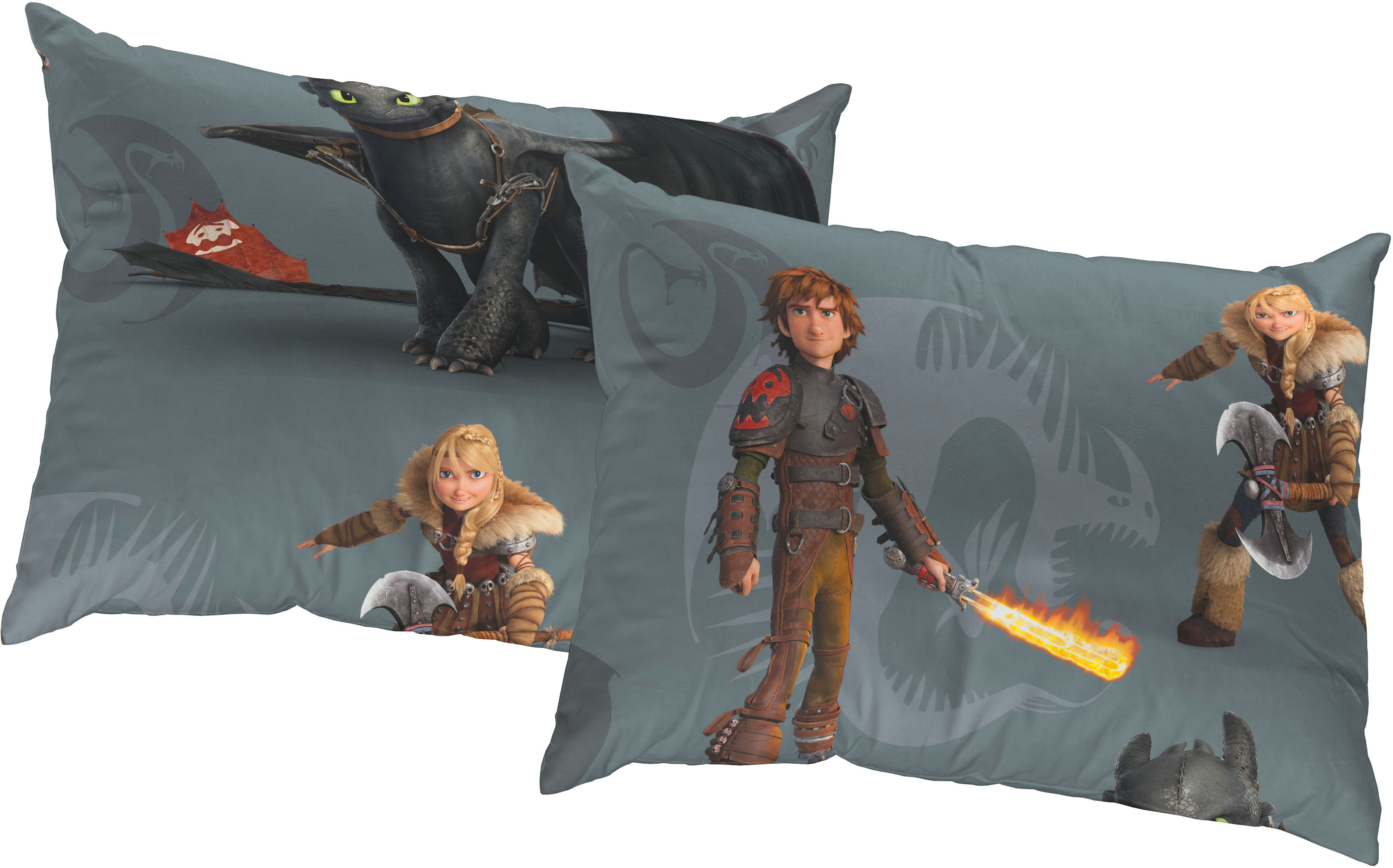Wirth Dekokissen "Dragons" Universal Pictures, Kissenhülle ohne Füllung, 2 Stück