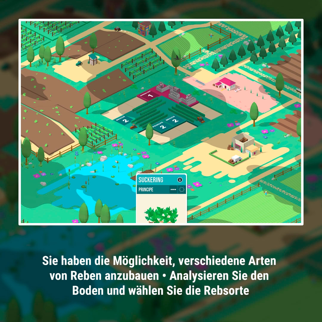 NBG Spielesoftware »Hundred Days - Wine Making - [Playstation 5]« PlayStation 5