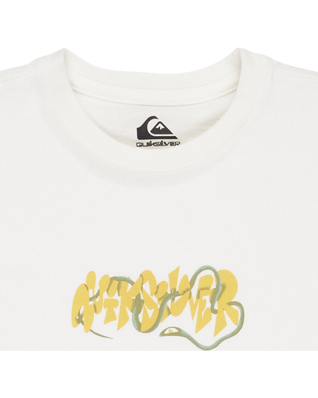 Quiksilver T-Shirt »Ev Bloomsday«