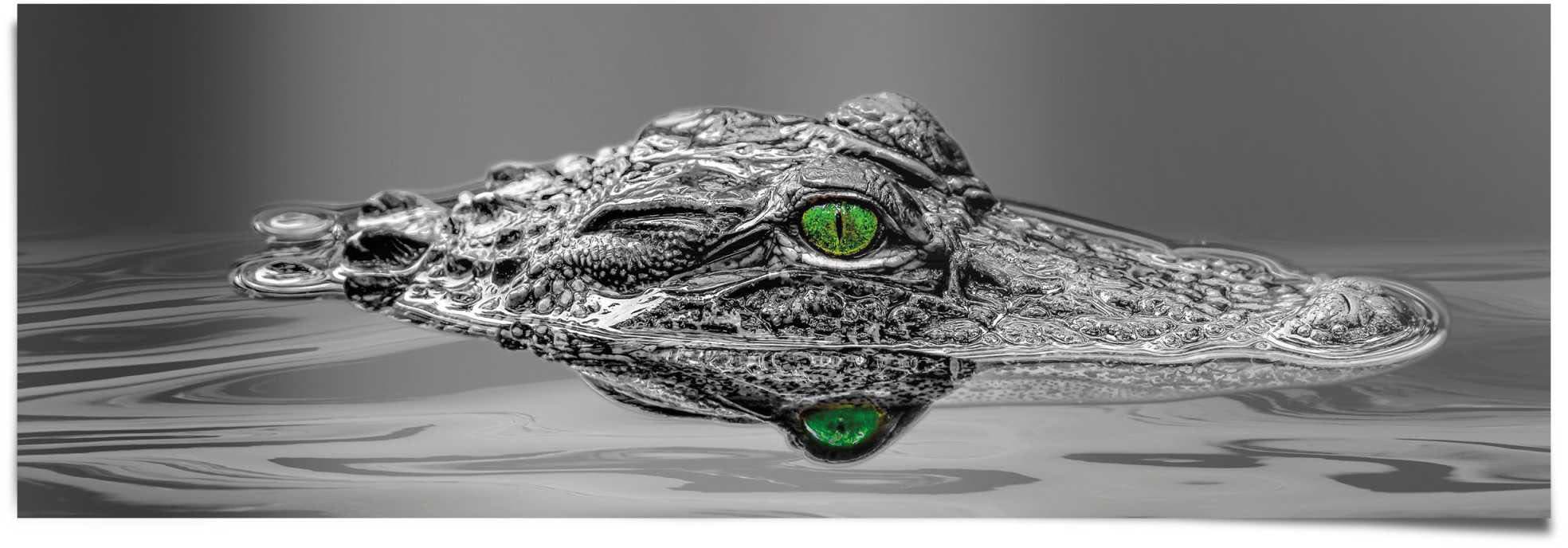 Reinders! Poster »Alligator Augen« (1 St.)