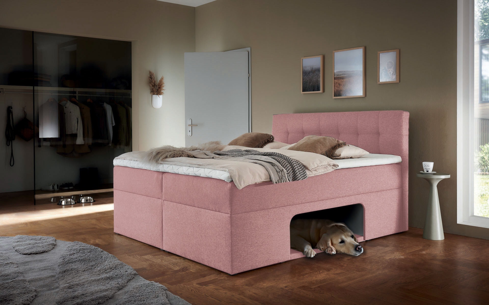 Home affaire Boxbett "Carolin" mit Nische inkl. gepolsterter Unterlage für Haustiere
