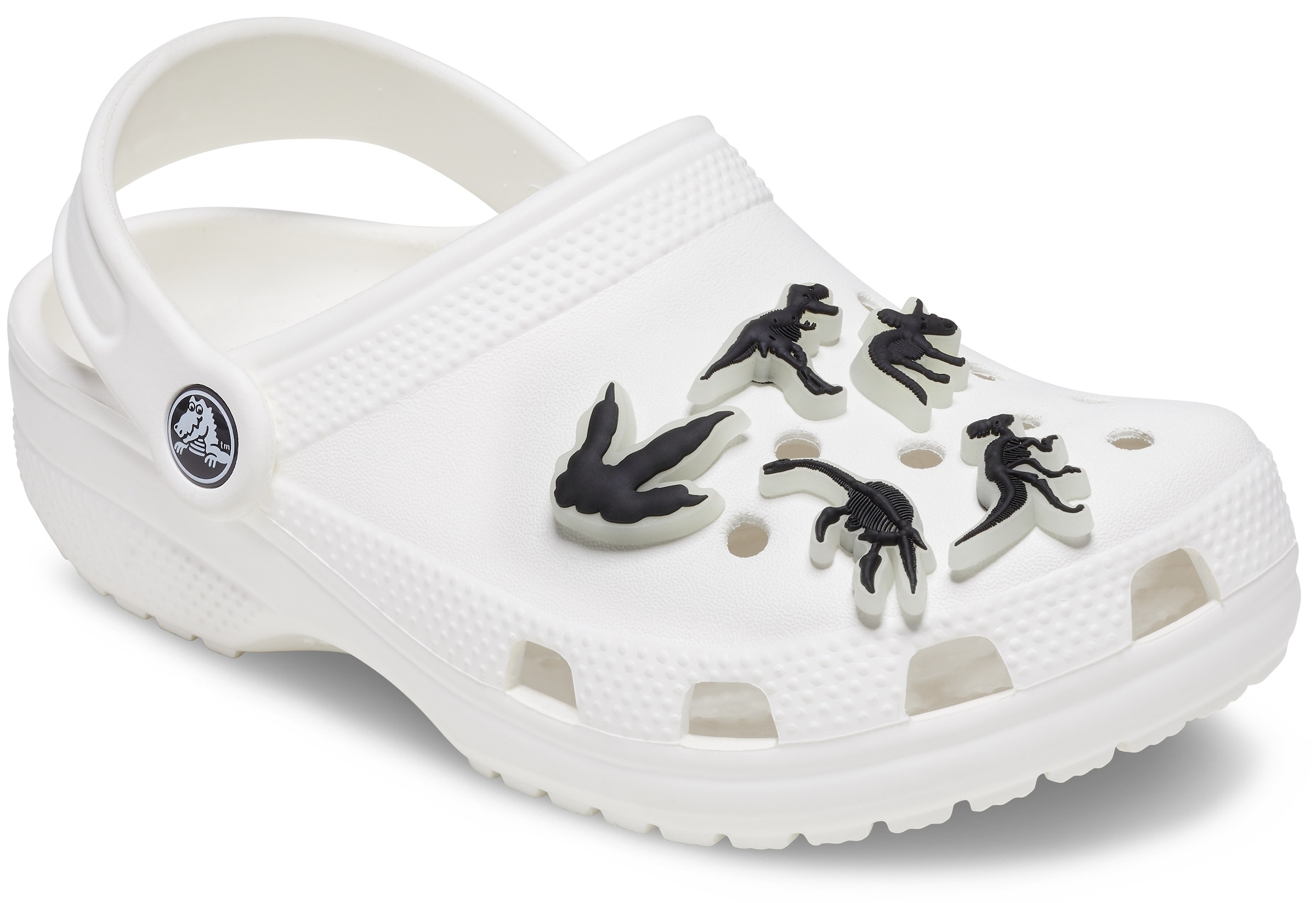 Crocs Schuhanstecker »Jibbitz™ The In Kinder Dark | leuchten Spielzeug. 3 BAUR Jahren (Kein im Dunkeln für Glow unter Dino«, geeignet), kaufen Nicht online