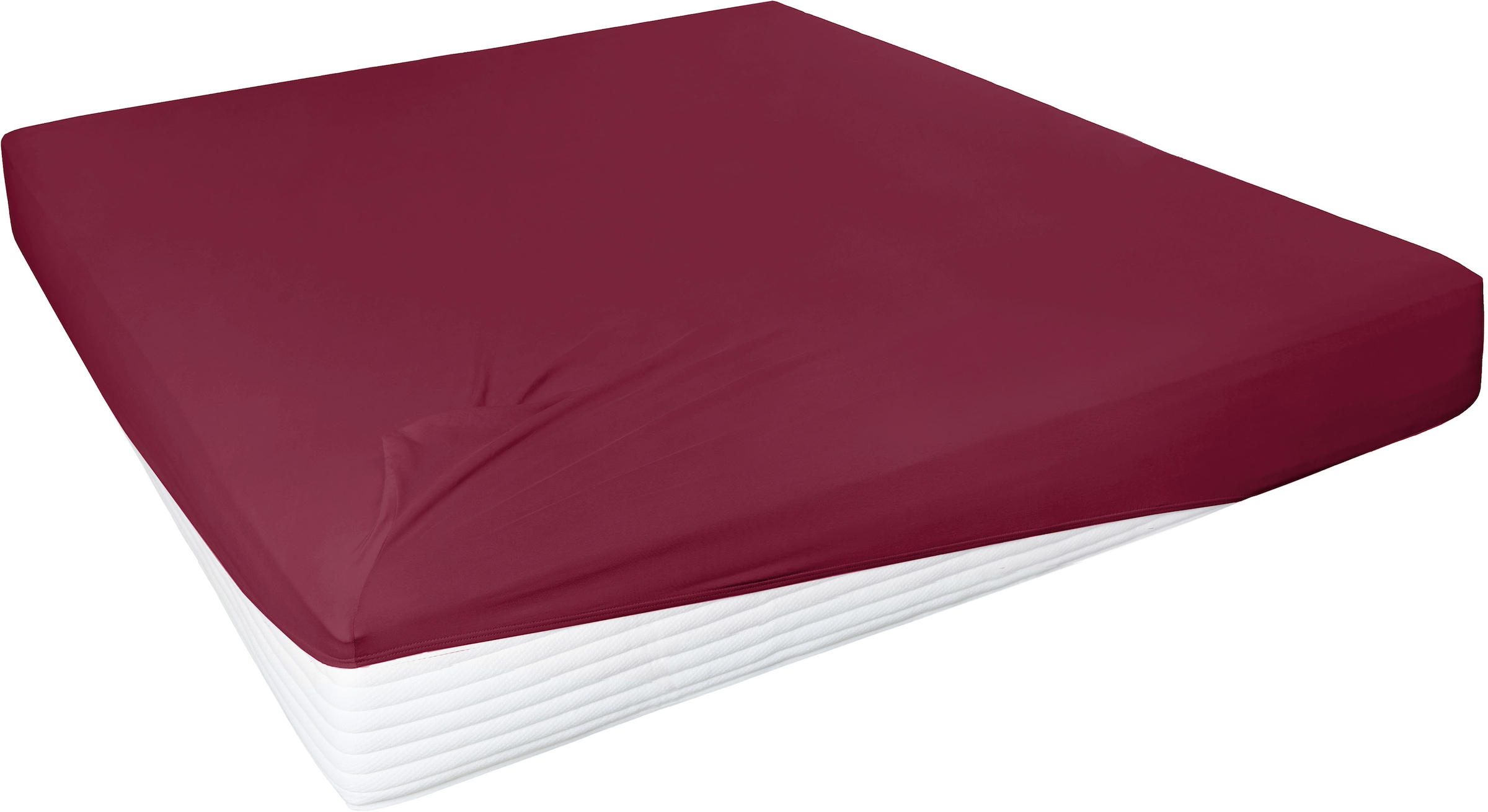 Primera Spannbettlaken "Elasthan-Feinjersey" PREMIUM, aus 95% gekämmter Baumwolle und 5% Elasthan, bis 28 cm Höhe
