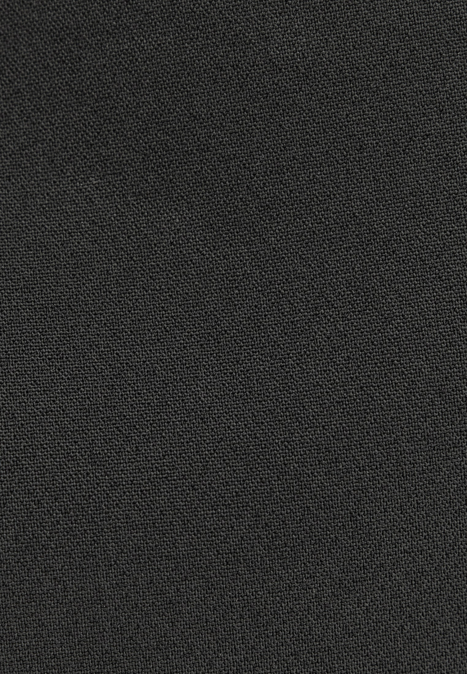 studio seidensticker Shorts