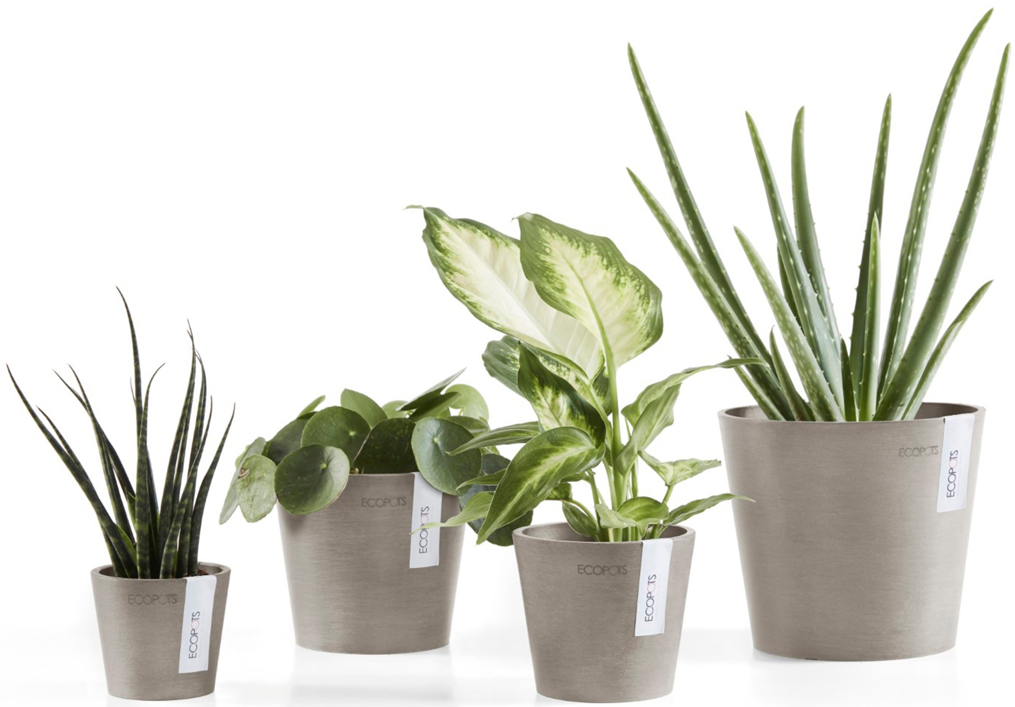 ECOPOTS Blumentopf »Amsterdam Mini 8 Taupe«, für den Innenbereich