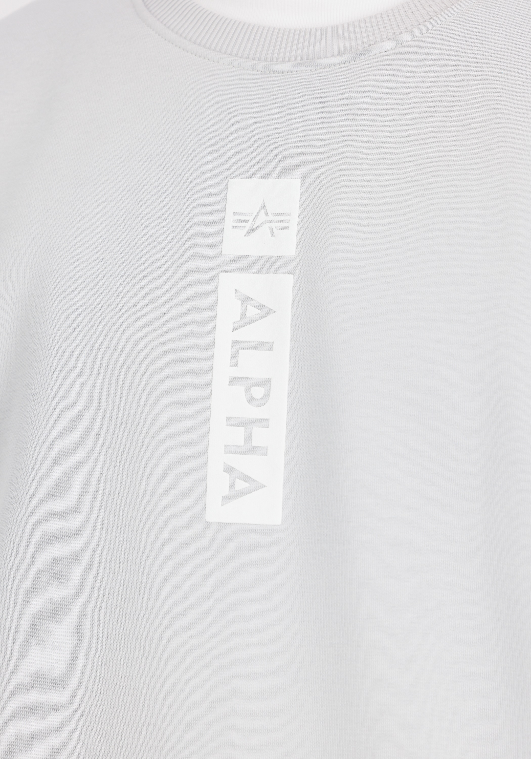 Alpha Industries Sweater »Alpha Industries Men - Sweatshirts Alpha Refl. Print Sweater«