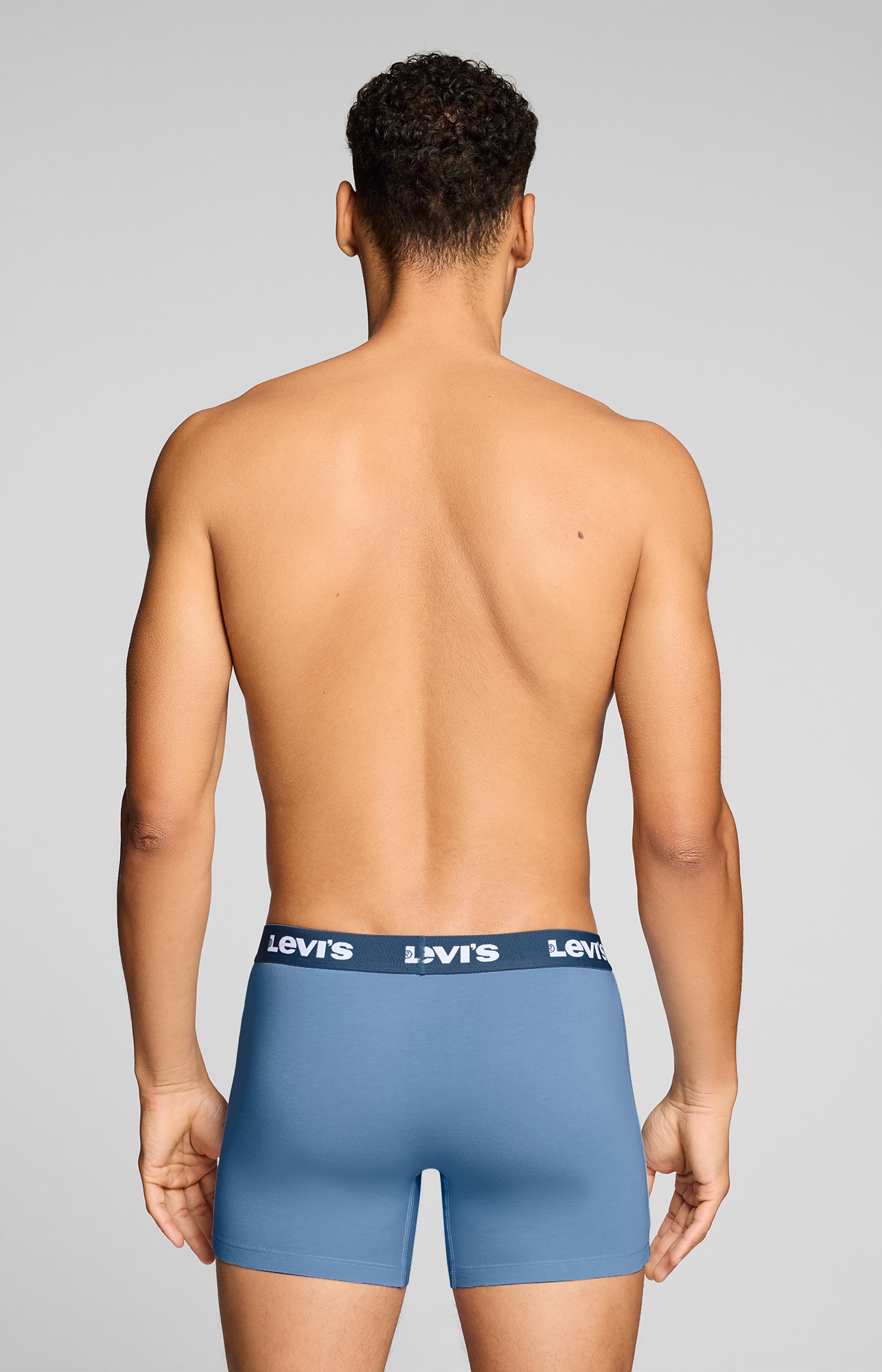 Levi's® Boxer »LEVIS MEN REPEAT LOGO BOXER BRIEF« 2er Pack,  ohne Eingriff, Logobund, elastisch