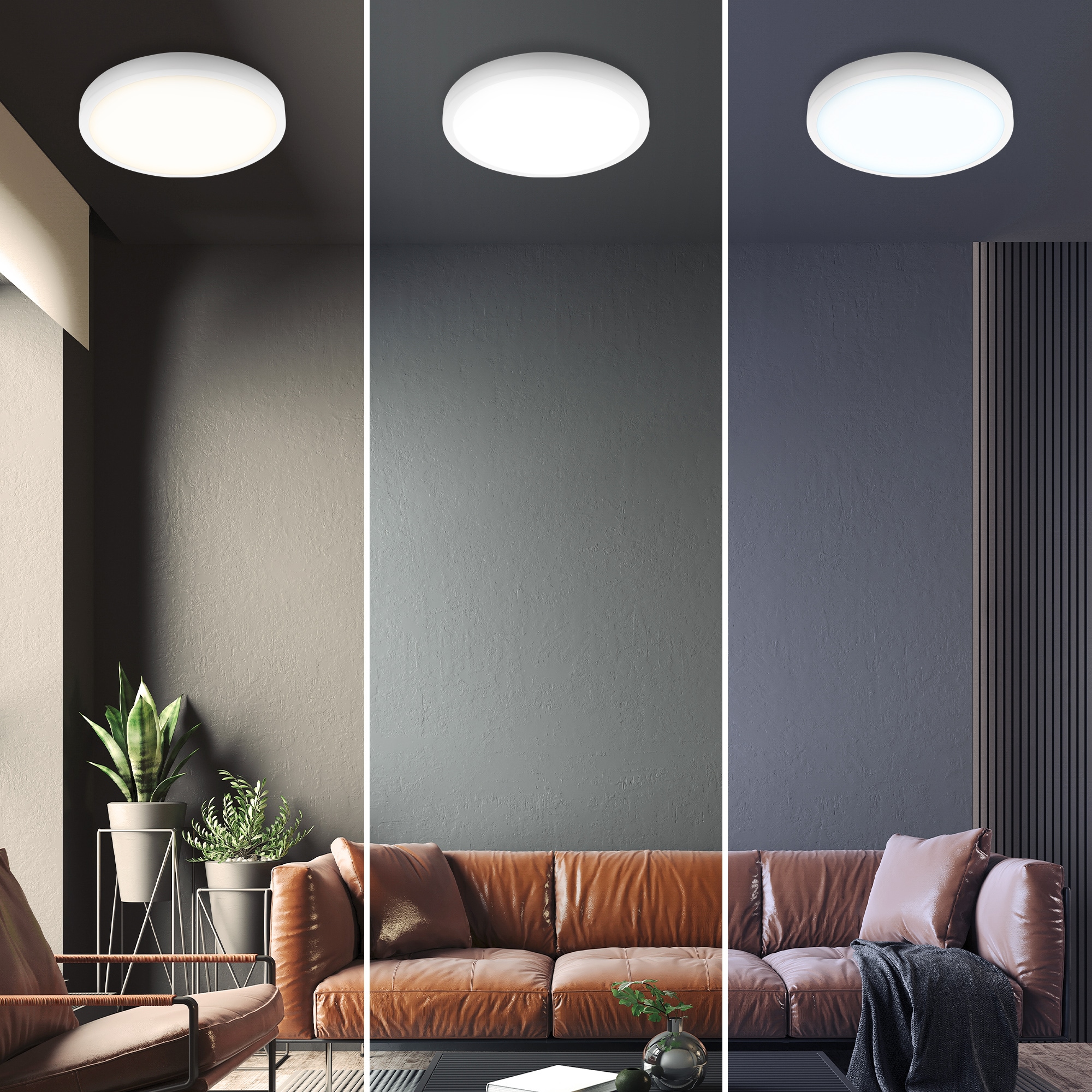 Briloner Leuchten Deckenleuchte »Deckenleuchte RUNA«