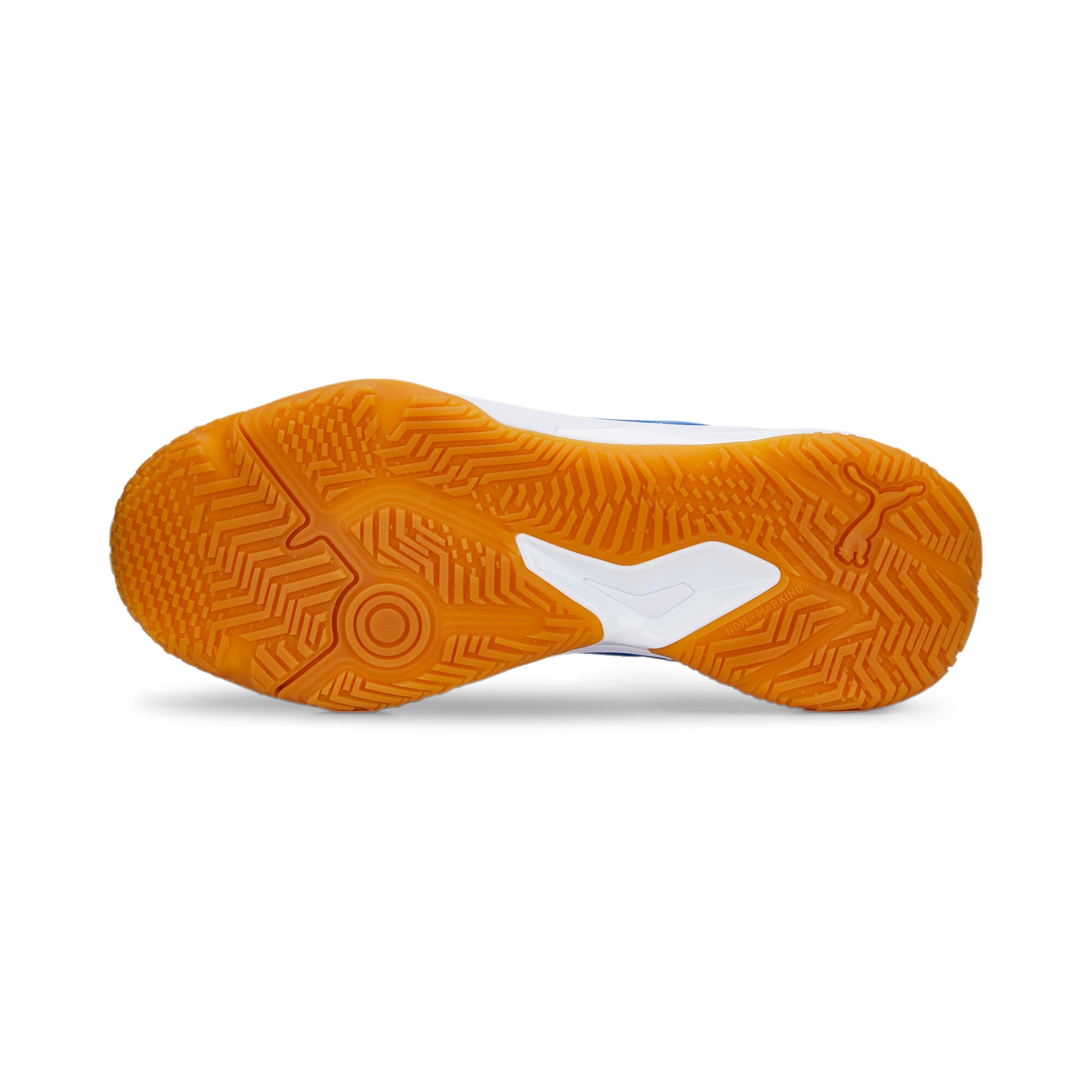 PUMA Hallenschuh »SOLARFLASH II«