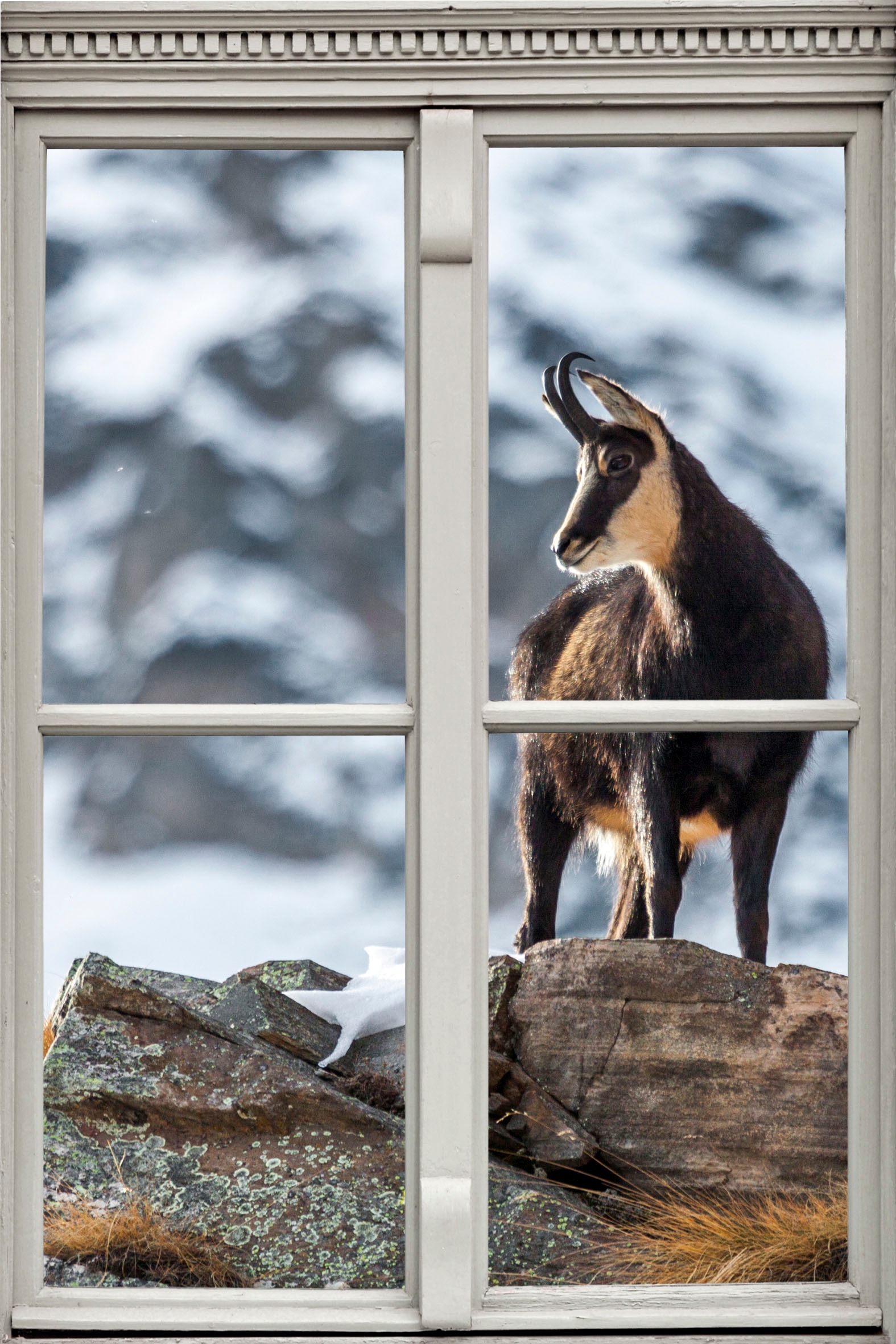 Wandsticker »Steinbock«