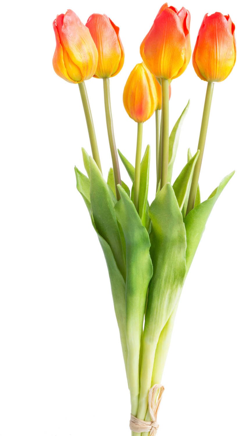 OTTO home Kunstpflanze "Maiva" Tulpenbündel im 7er-Set