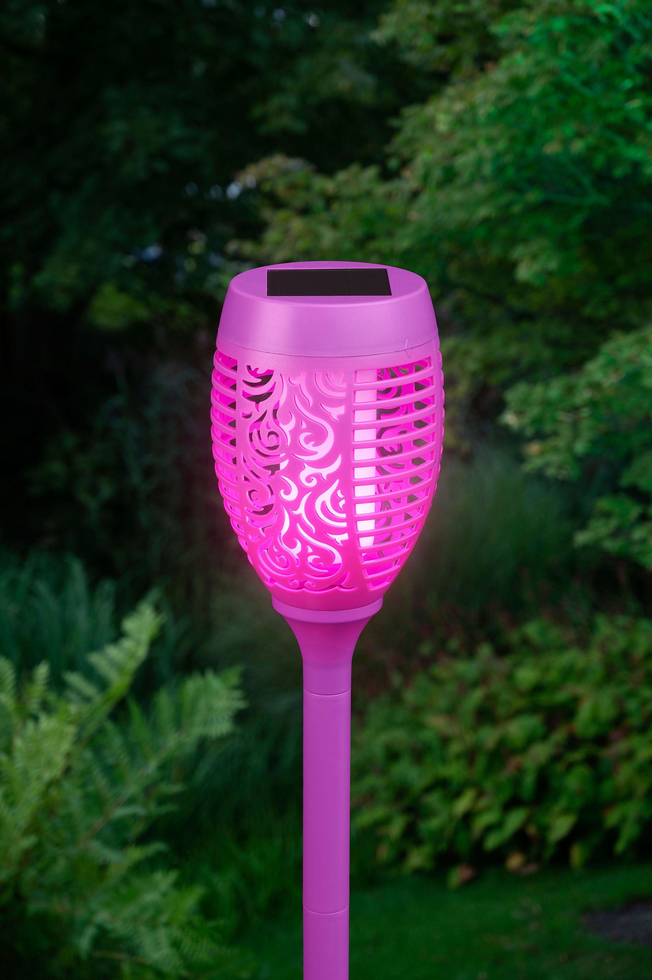 BONETTI LED Gartenfackel, Leuchtmittel LED-Modul | LED fest integriert, LED Solar Gartenfackel lila mit realer Flamme