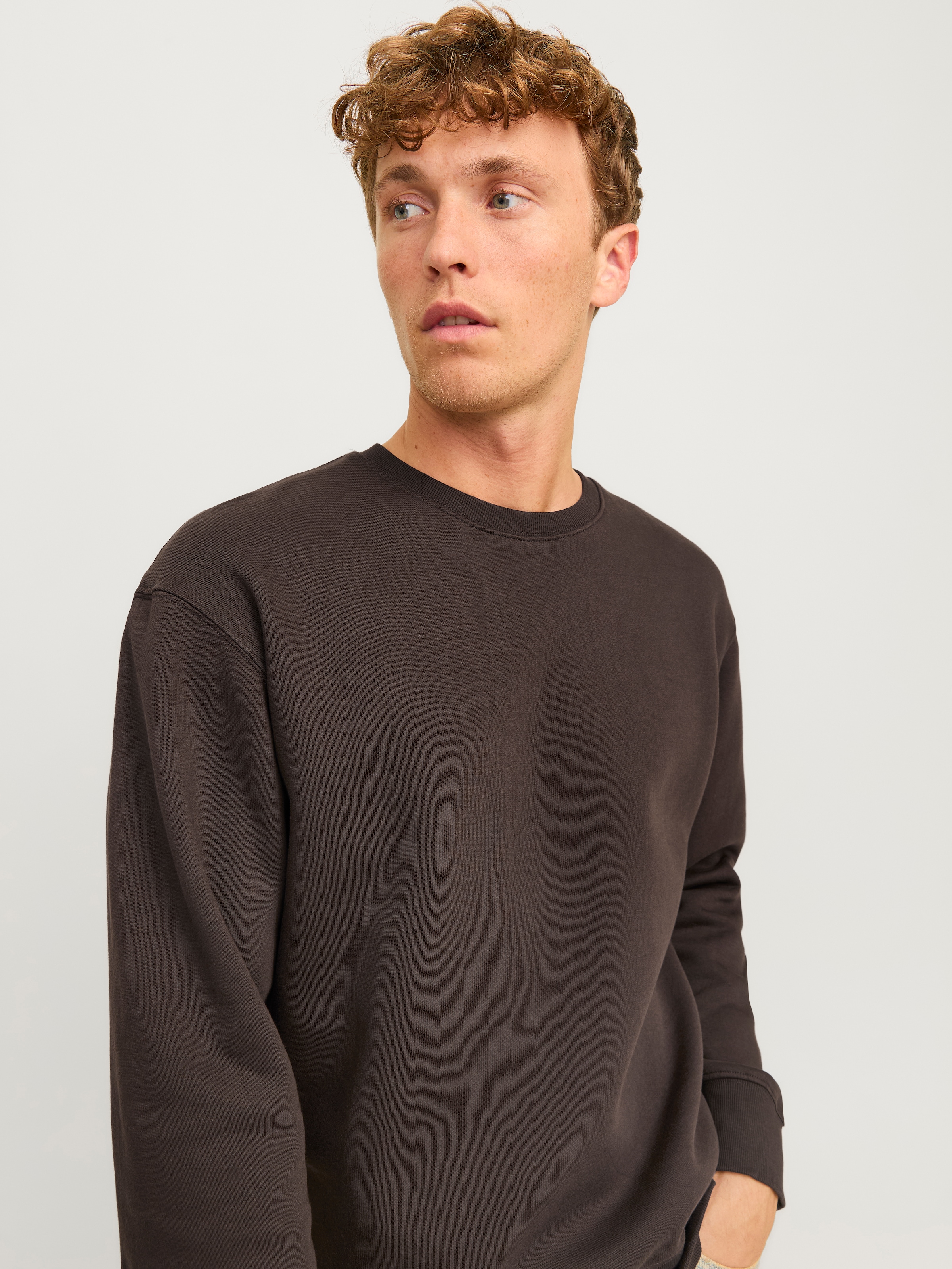 Jack & Jones Sweatshirt »JJESTAR BASIC SWEAT CREW NECK NOOS«