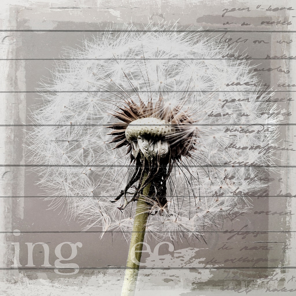 queence Holzbild »Pusteblume«