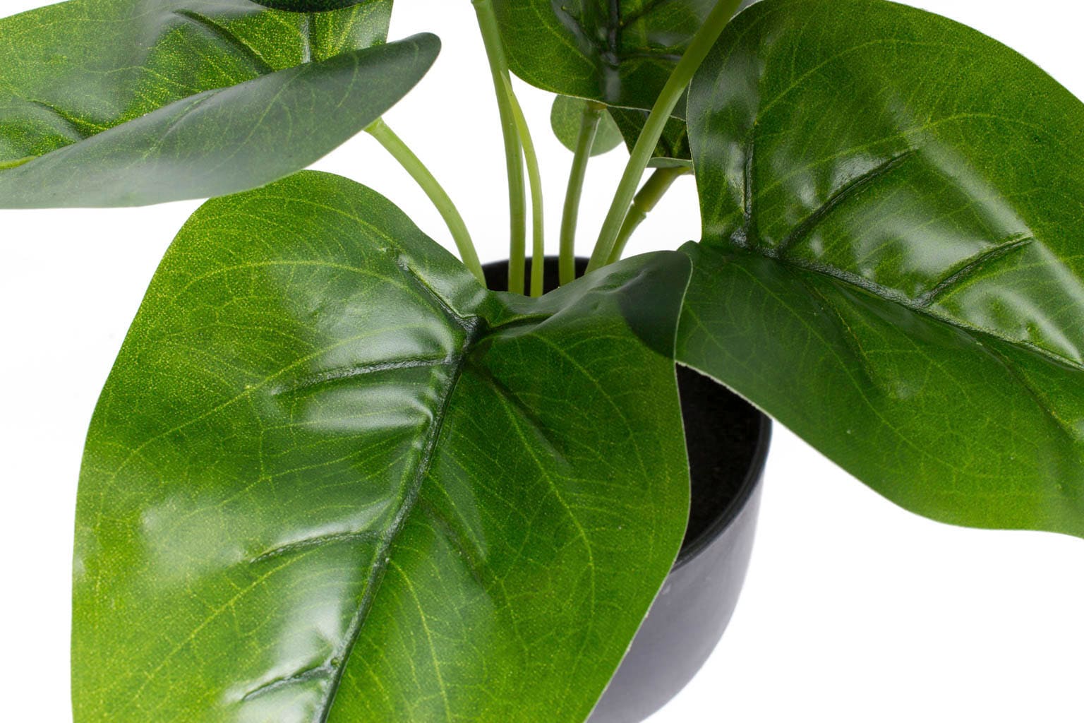 Zimmerpflanze »Philodendron« Künstliche BAUR kaufen | Botanic-Haus