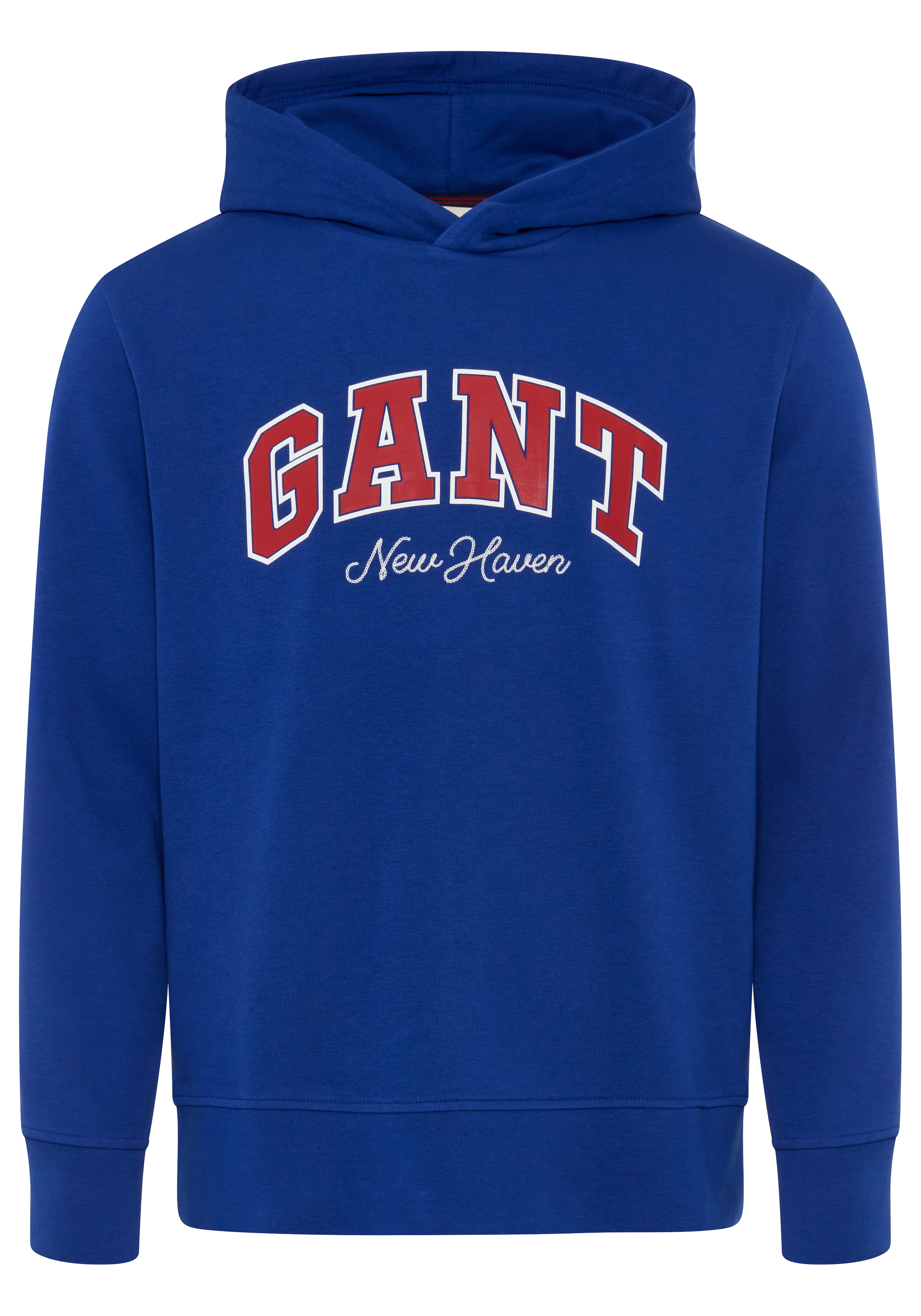 Gant Hoodie "GRAPHIC"